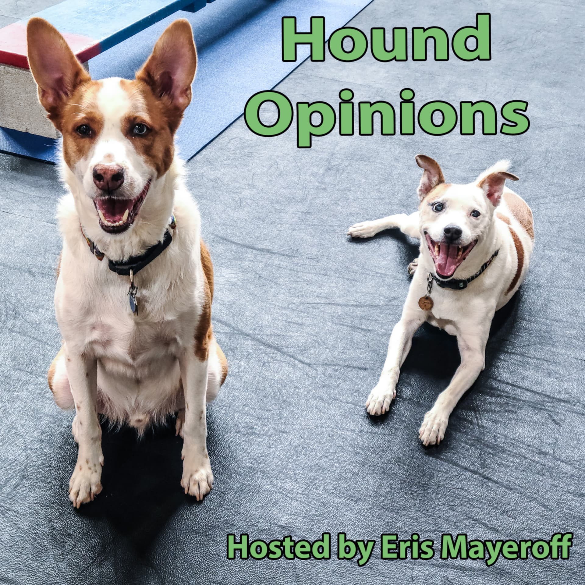 Hound Opinions - Podcasts