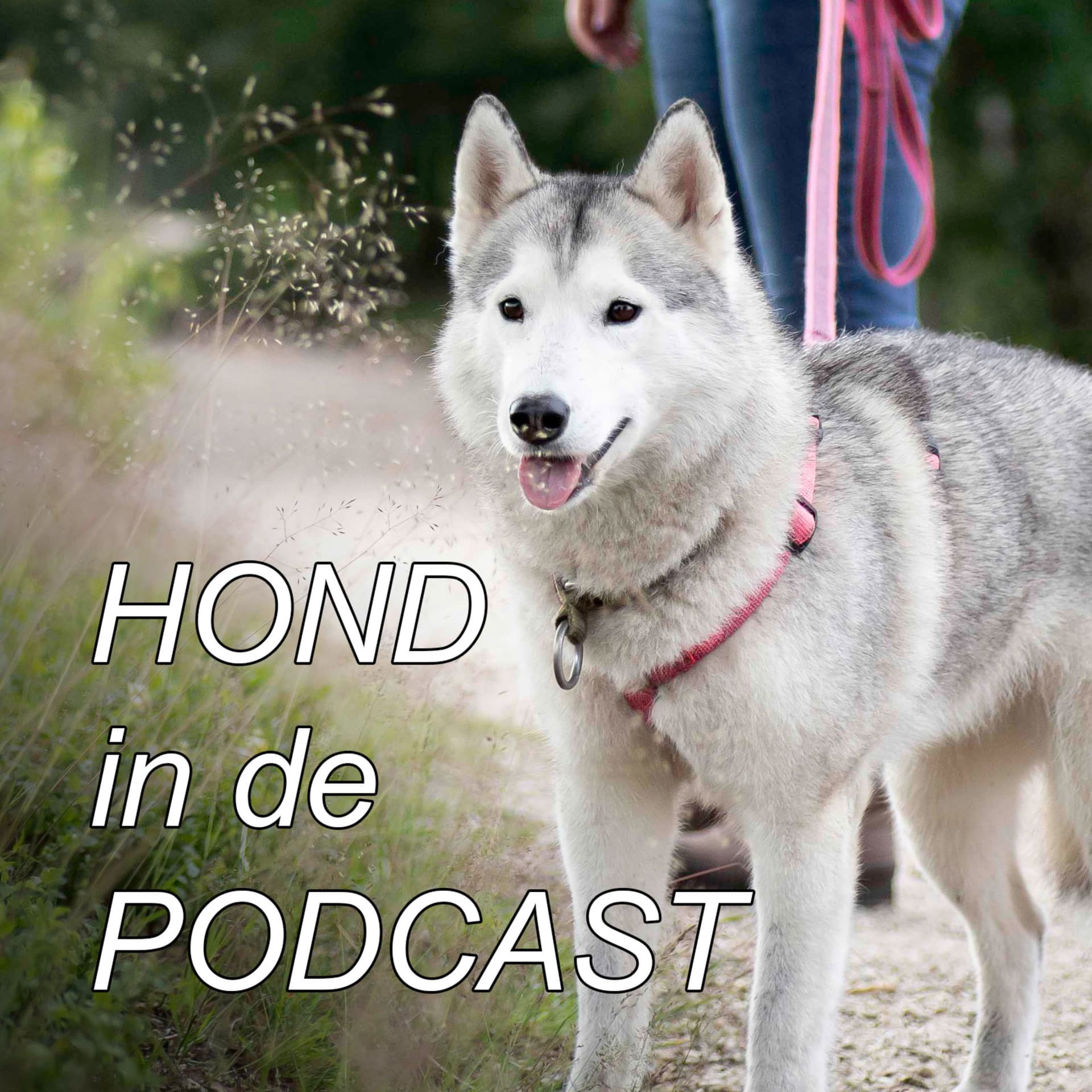 Hond in de podcast - Podcasts