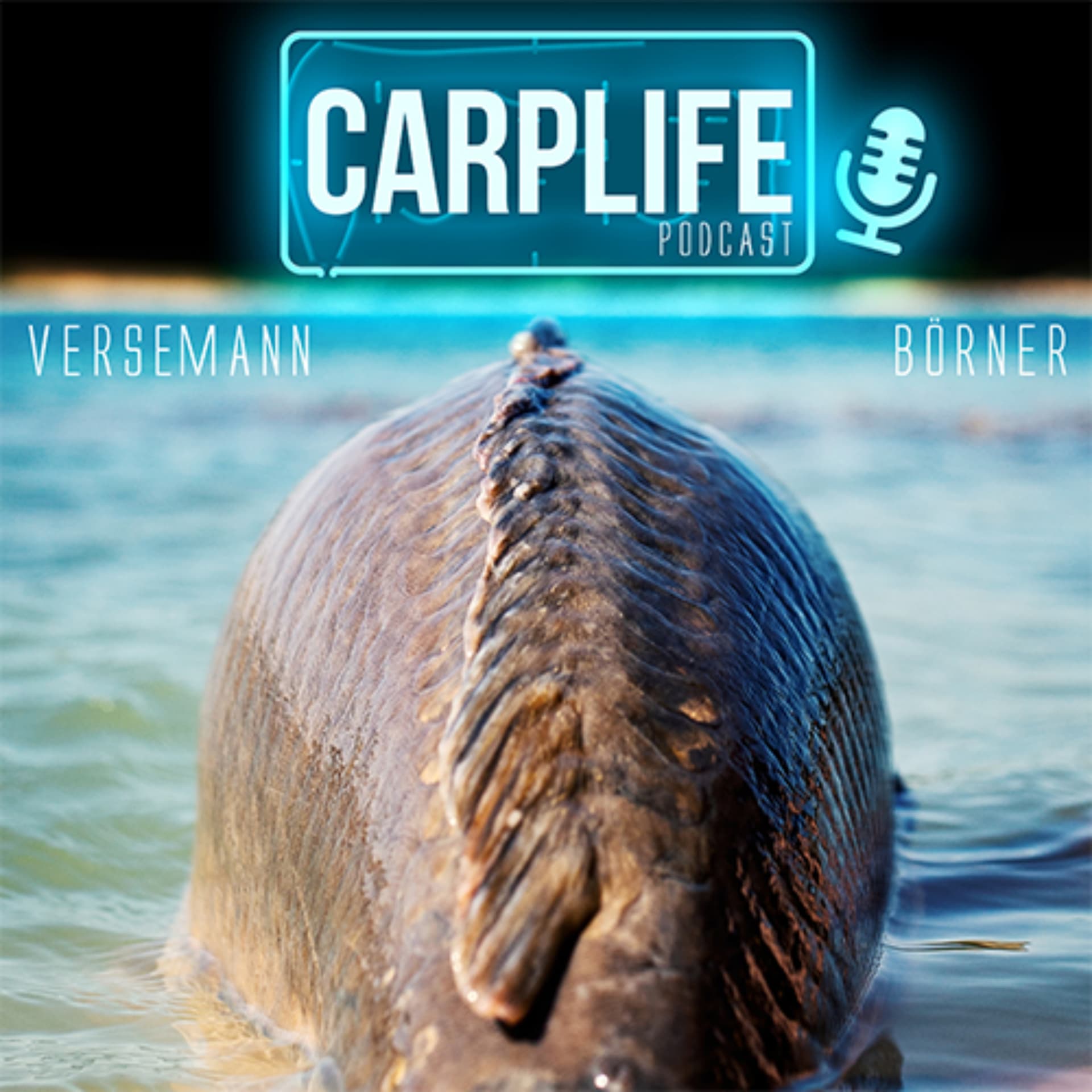 CARPLIFE - Podcasts