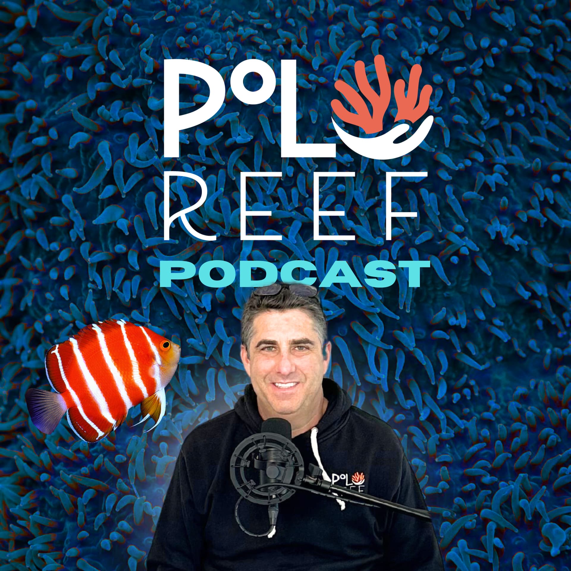 Polo Reef the Podcast - Podcasts