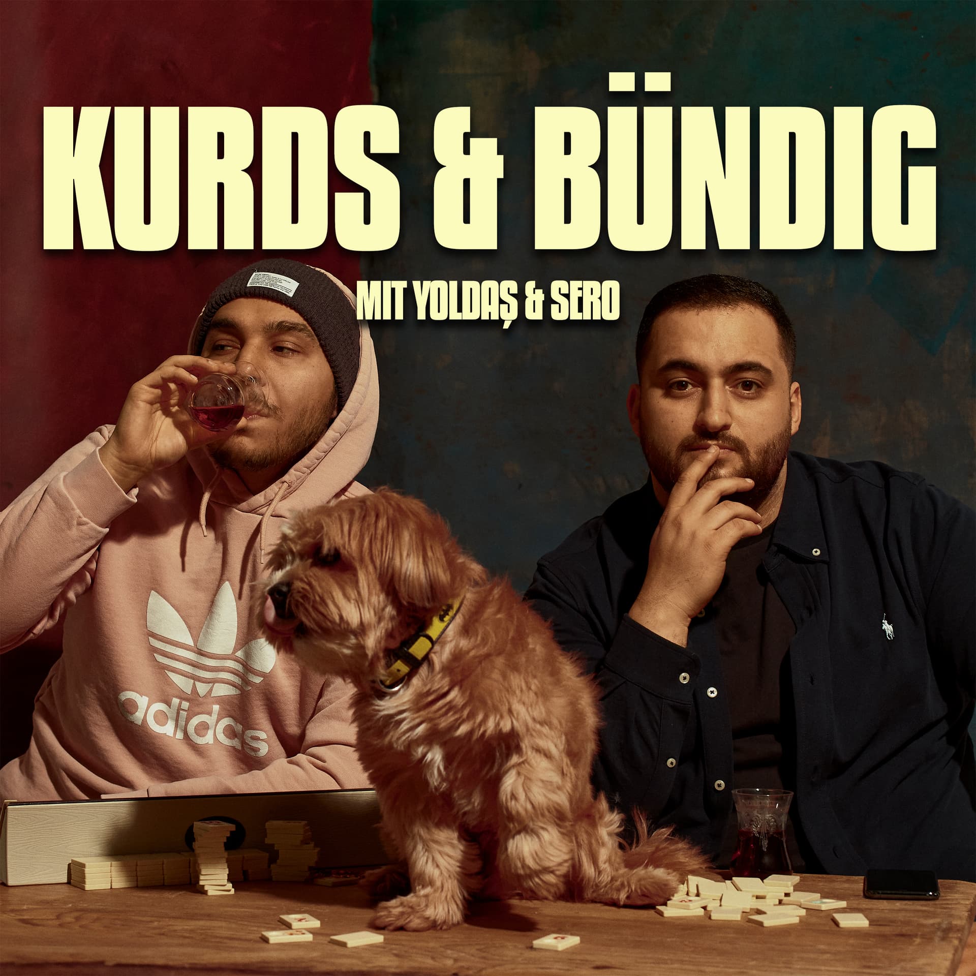 KURDS & BÜNDIG - Podcasts