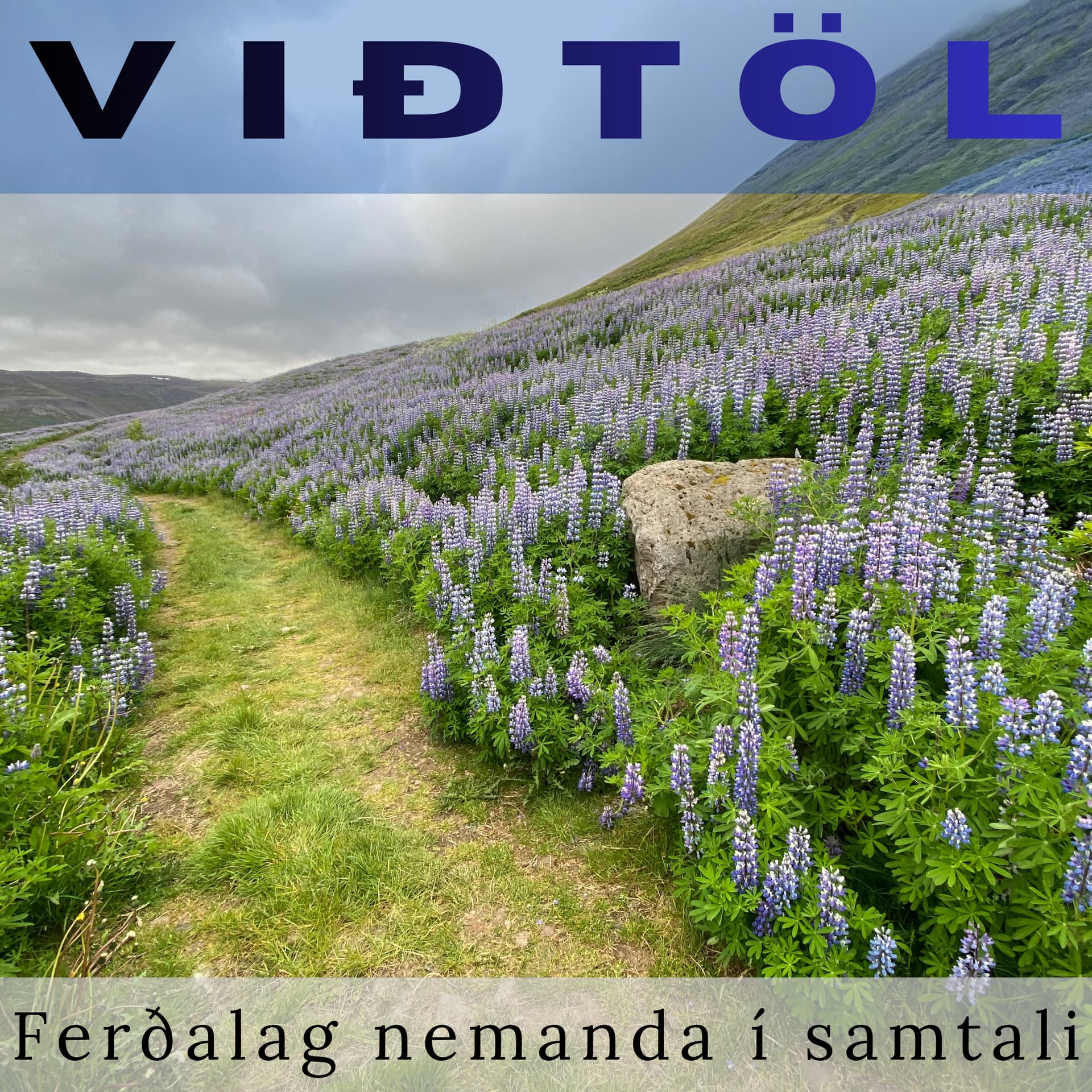 Viðtöl: Ferðalag nemanda í samtali - Podcasts