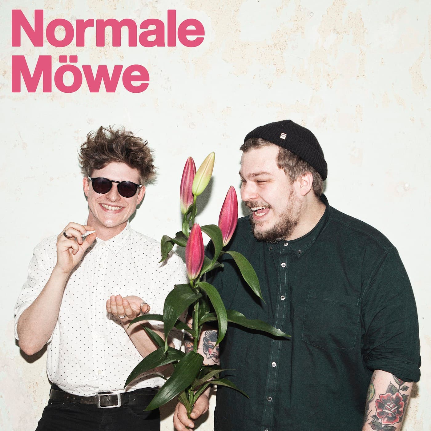 NORMALE MÖWE - Podcasts