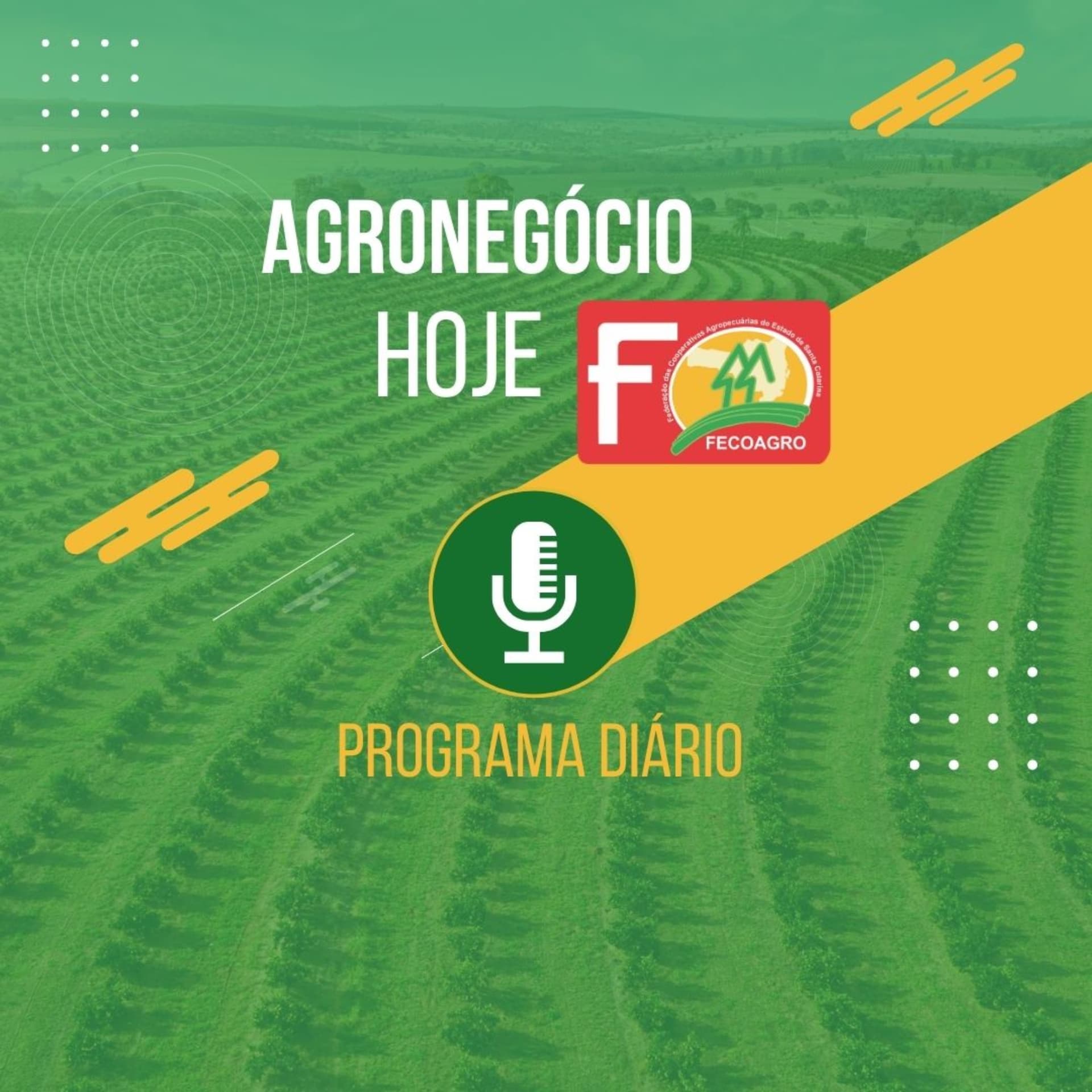 FECOAGRO/SC - Programa de Rádio - Podcasts