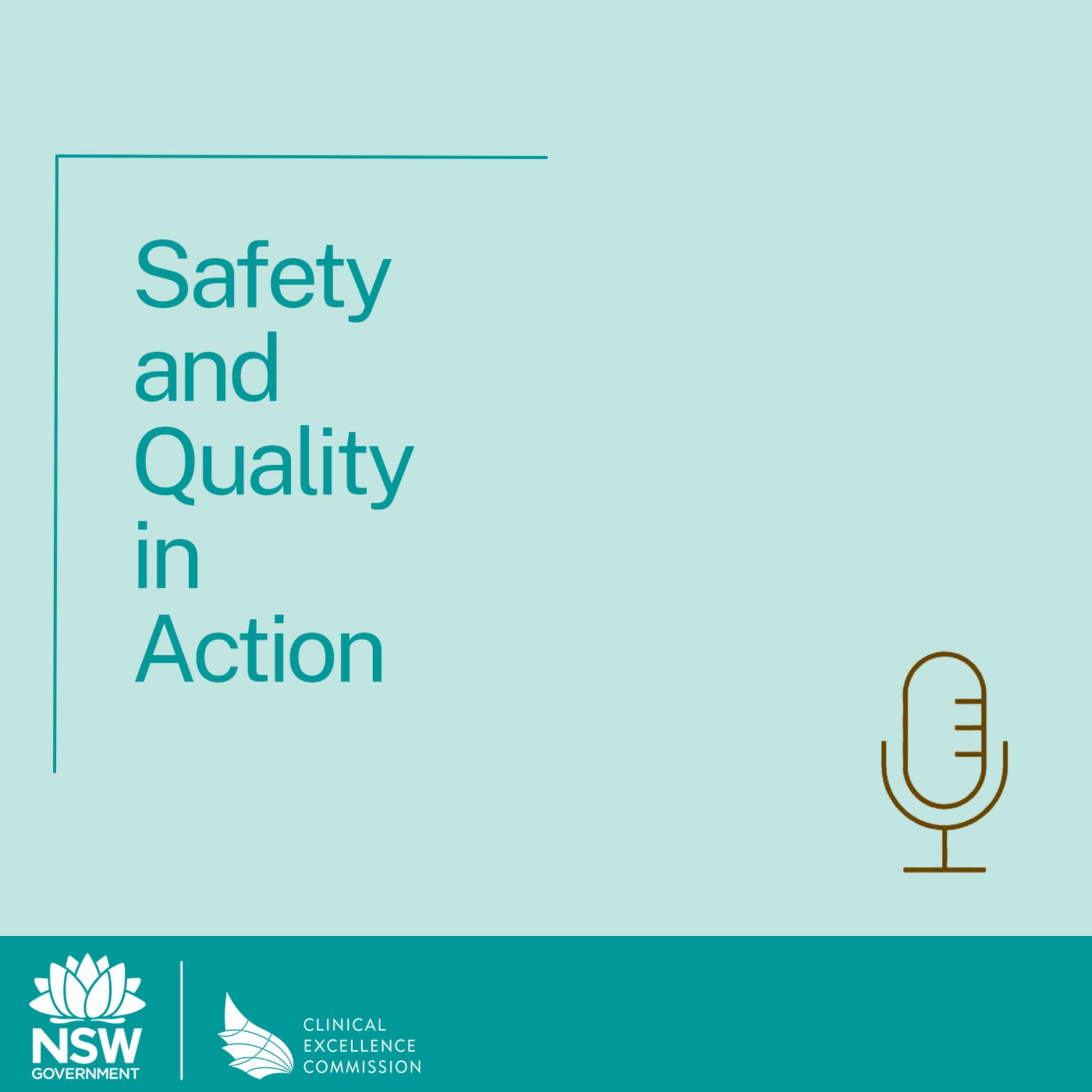 Safety and Quality in Action - Podcasts