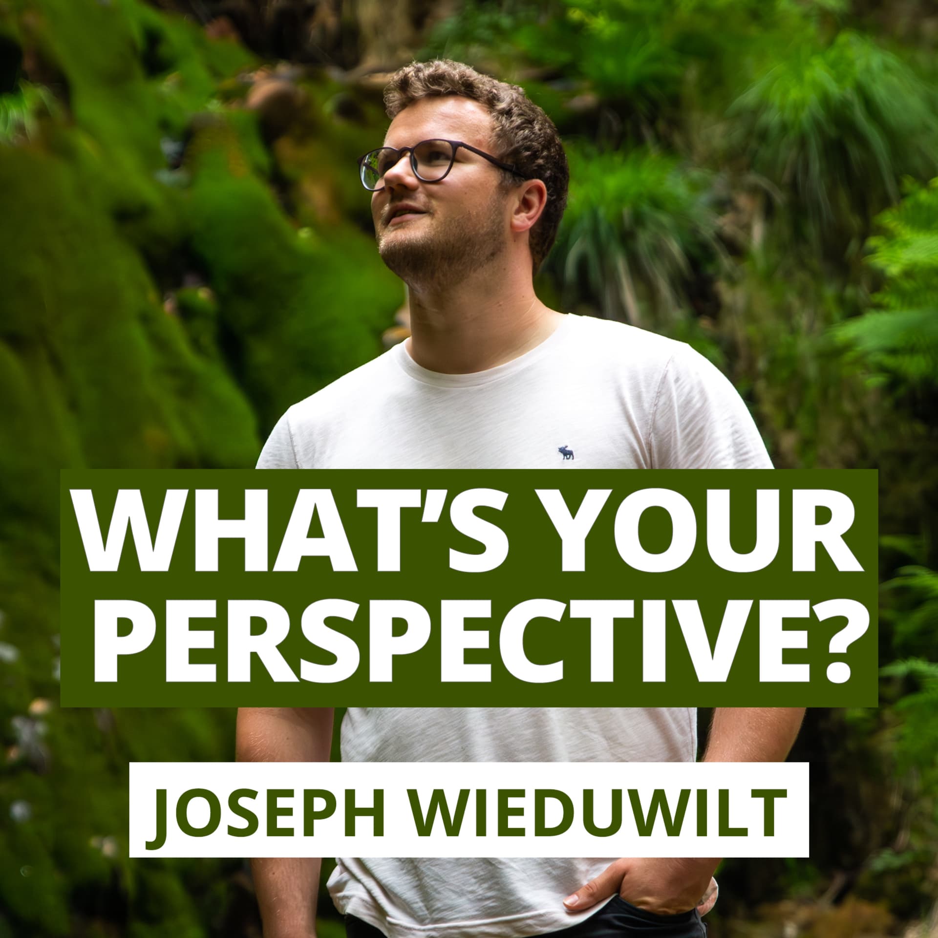 Joseph Wieduwilt - What's YOUR perspective? - Podcasts