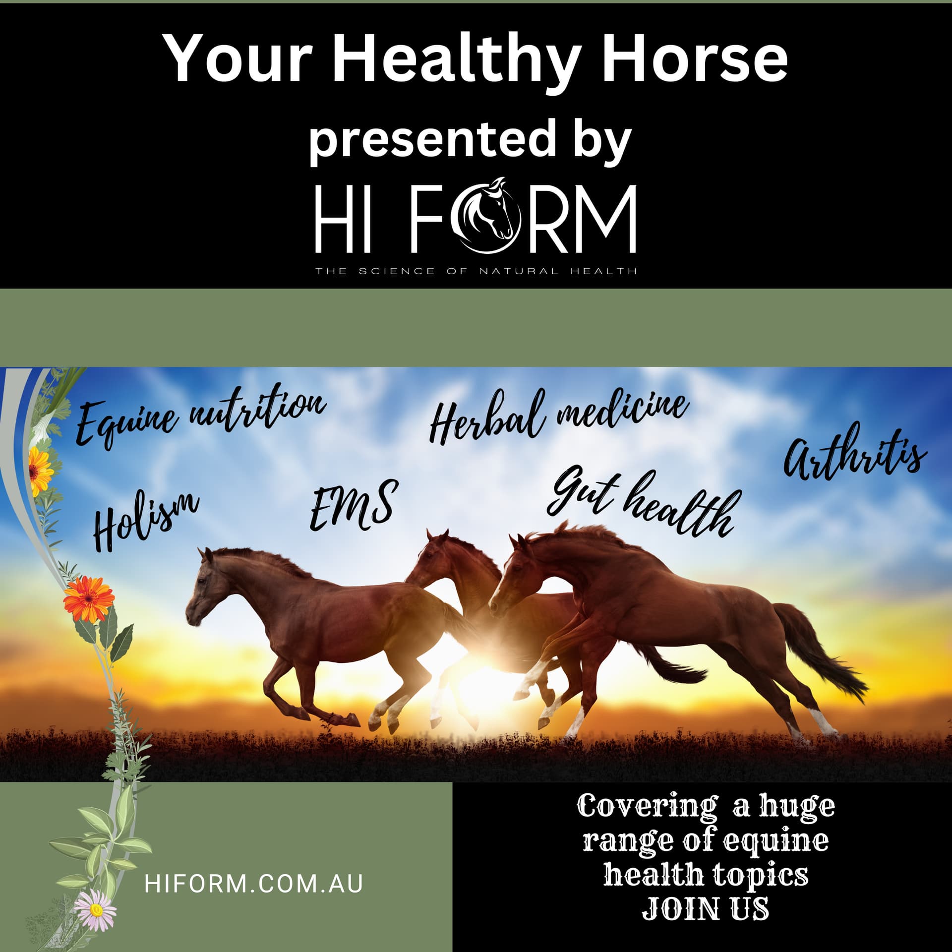 Hi Form - Podcasts
