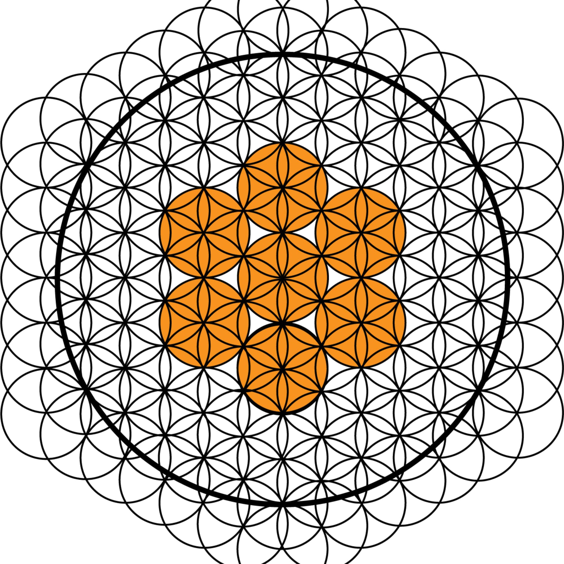 UNIVERSO VIDA | Salud y estilo de vida integral - Podcasts