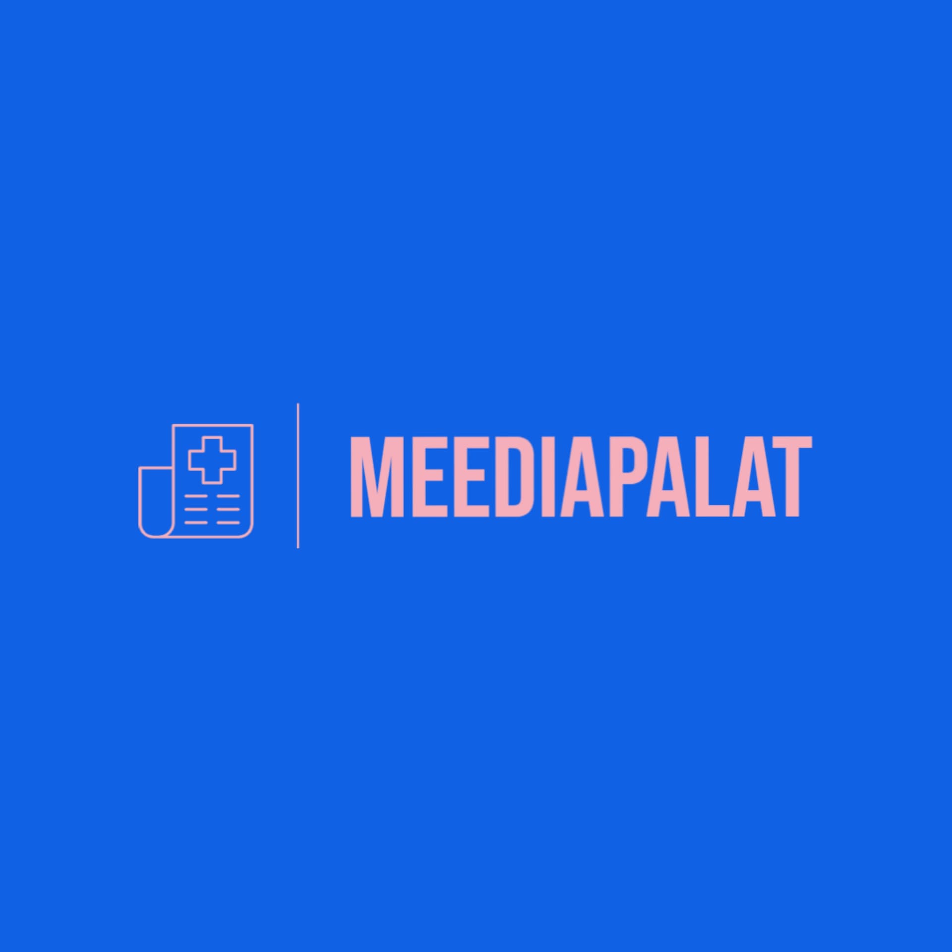 Meediapalat - Podcasts