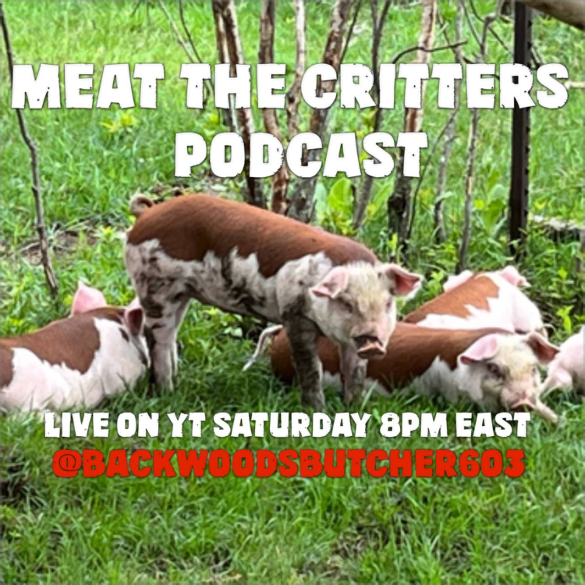Meat the Critters - Podcasts
