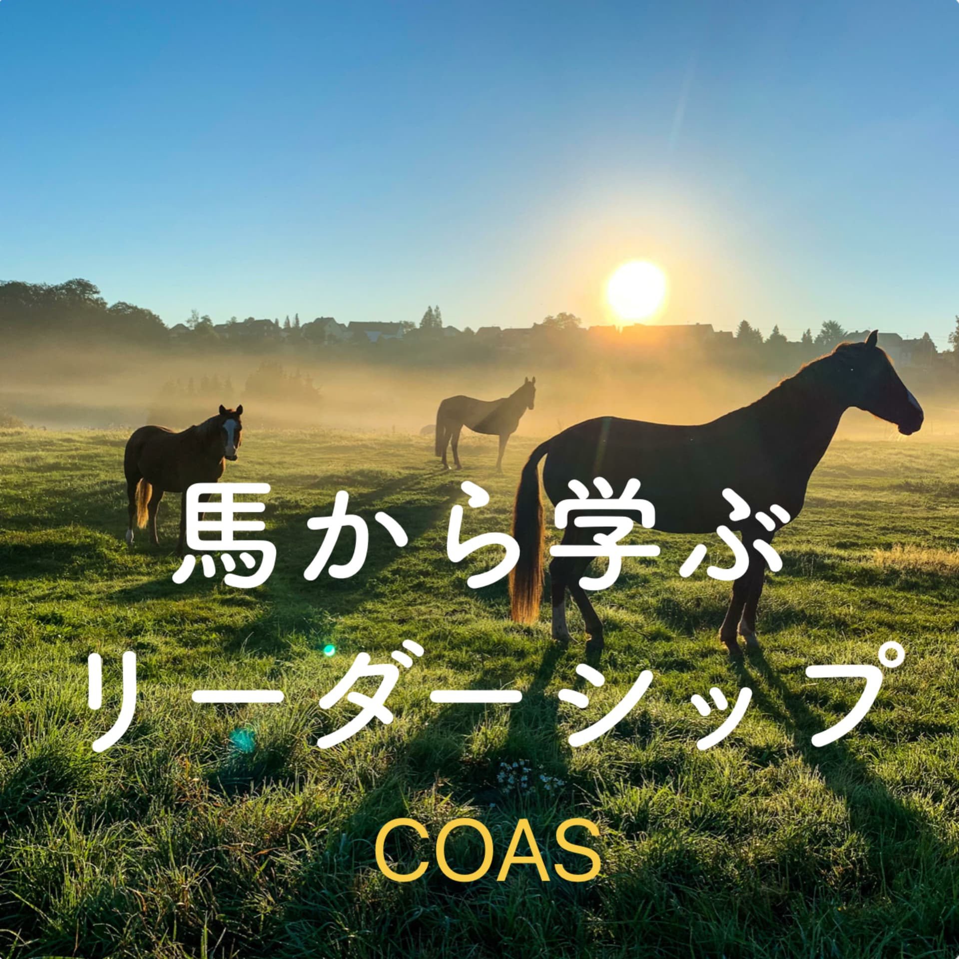 馬から学ぶリーダーシップ - Podcasts