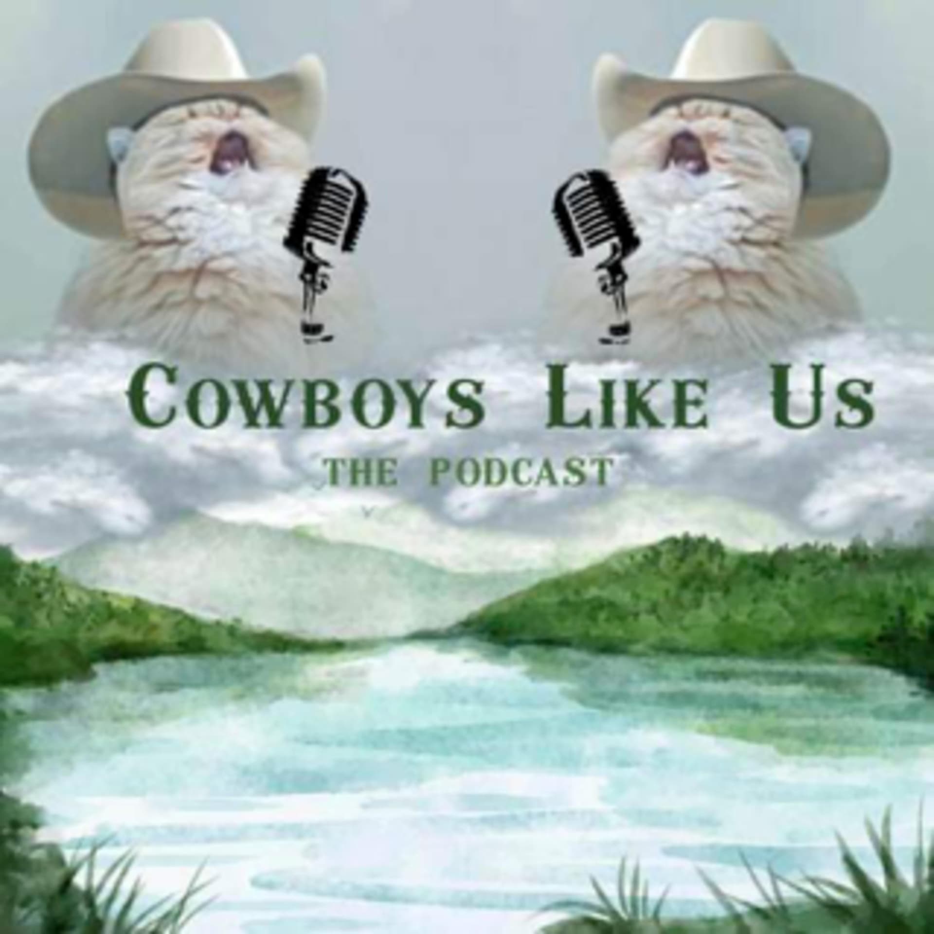 Cowboys Like Us: A Taylor Swift Podcast - Podcasts