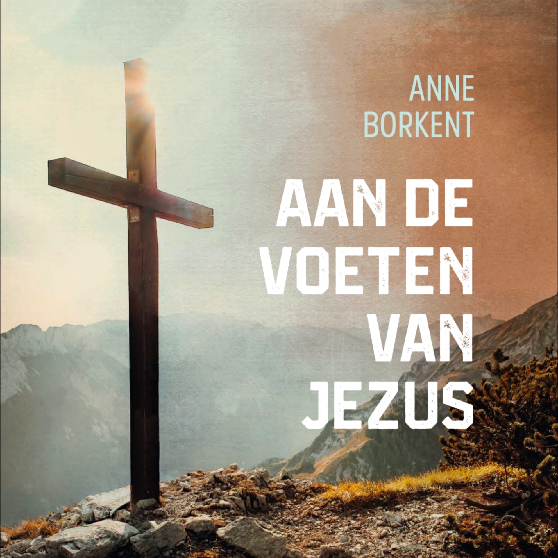 Aan de voeten van Jezus - bidden met de Bijbel - Podcasts