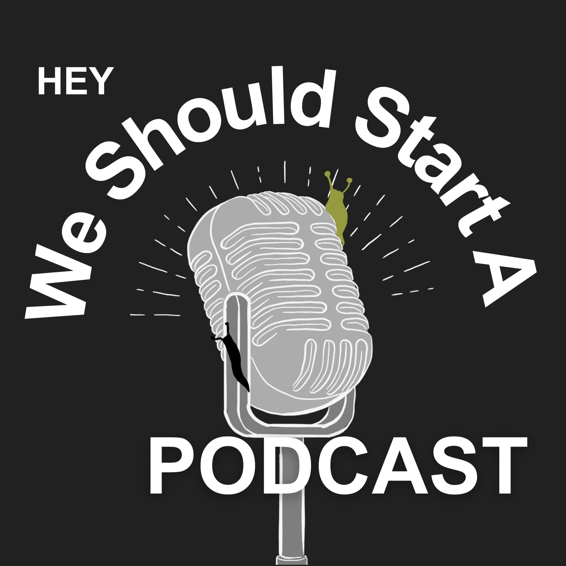 Hey, We Should Start a Podcast - Podcasts