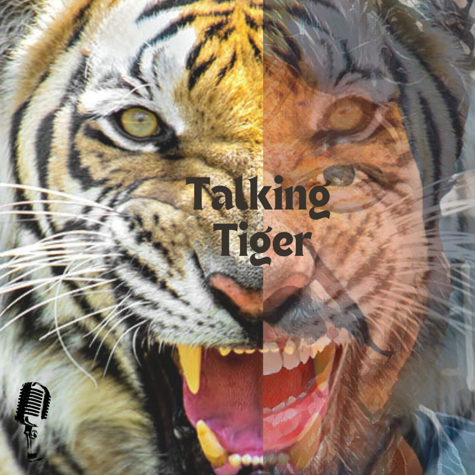 TalkingTiger - Podcasts