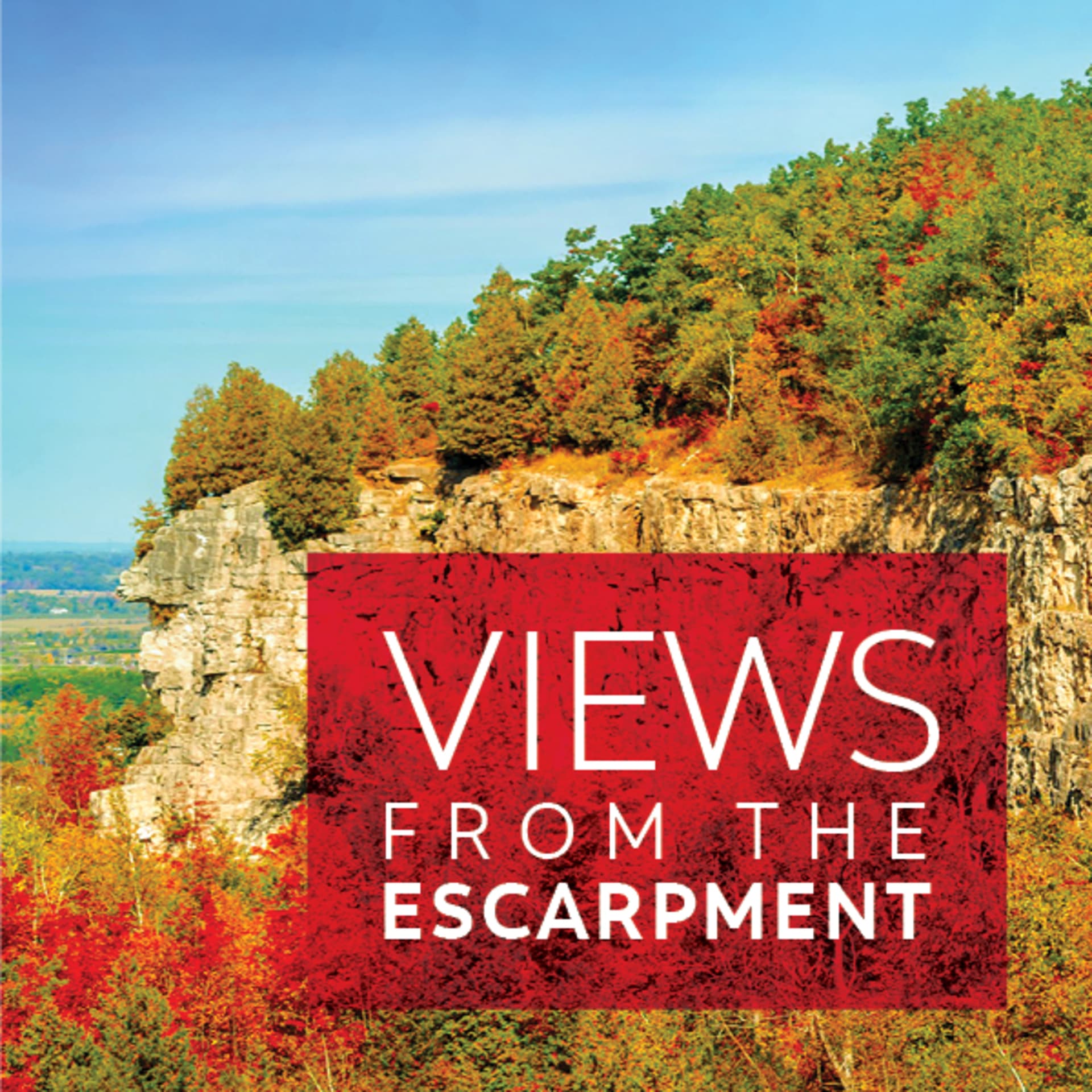 The Escarpment Advisory Group - Podcasts