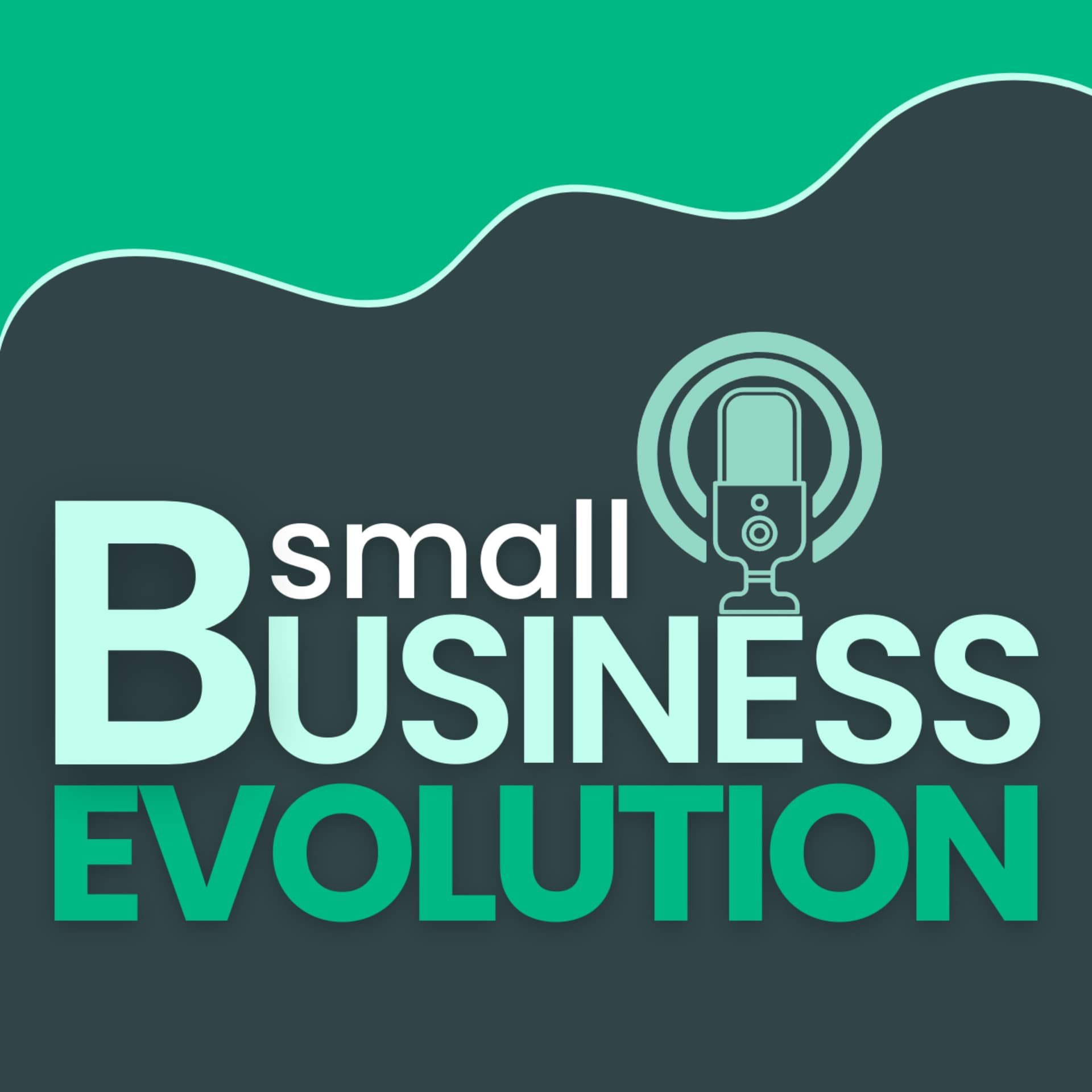 Small Business Evolution - Podcasts