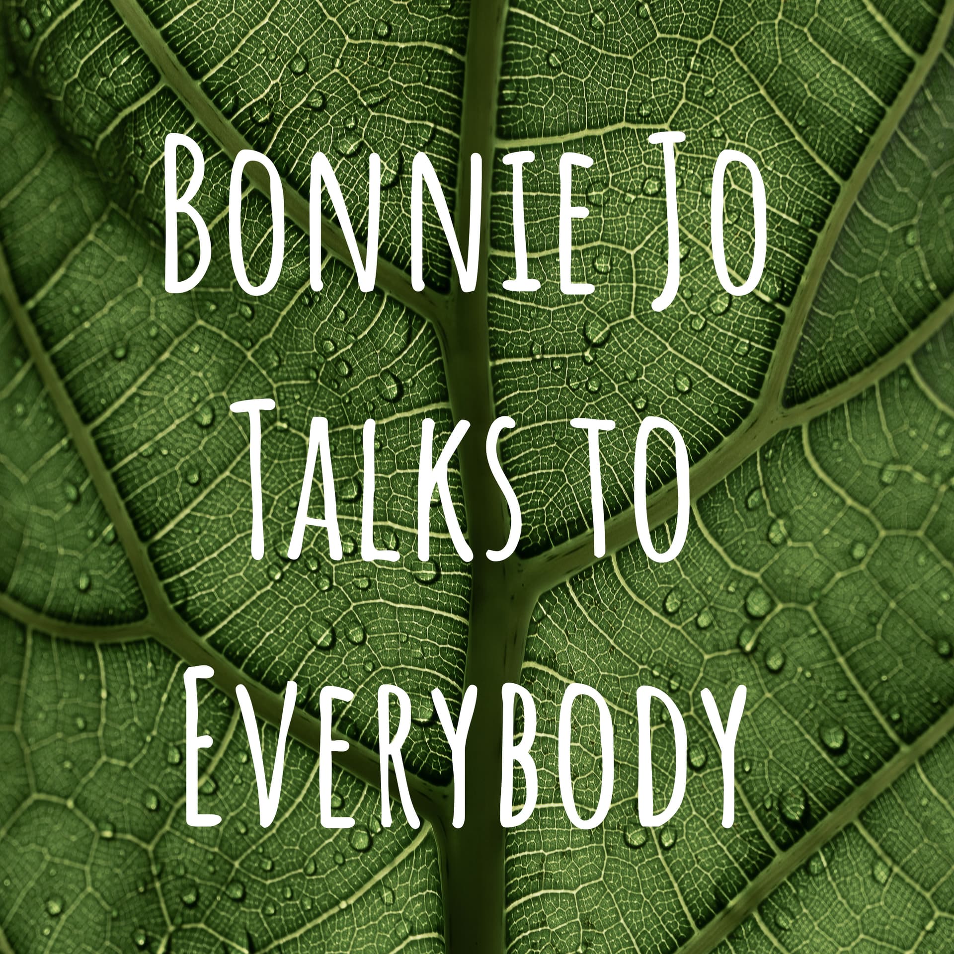Bonnie Jo Talks to Everybody - Podcasts