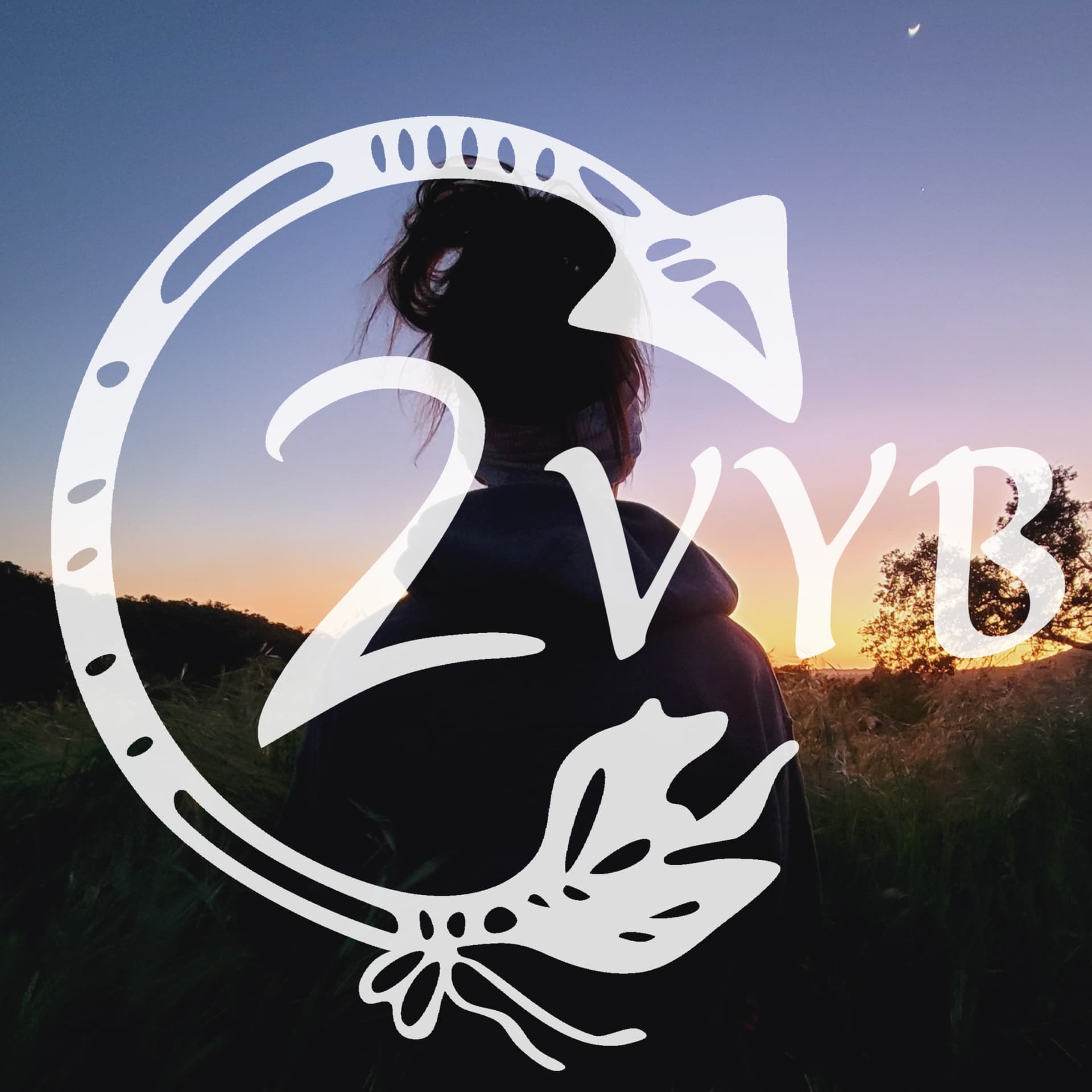 Find Your Way2Vyb - Podcasts