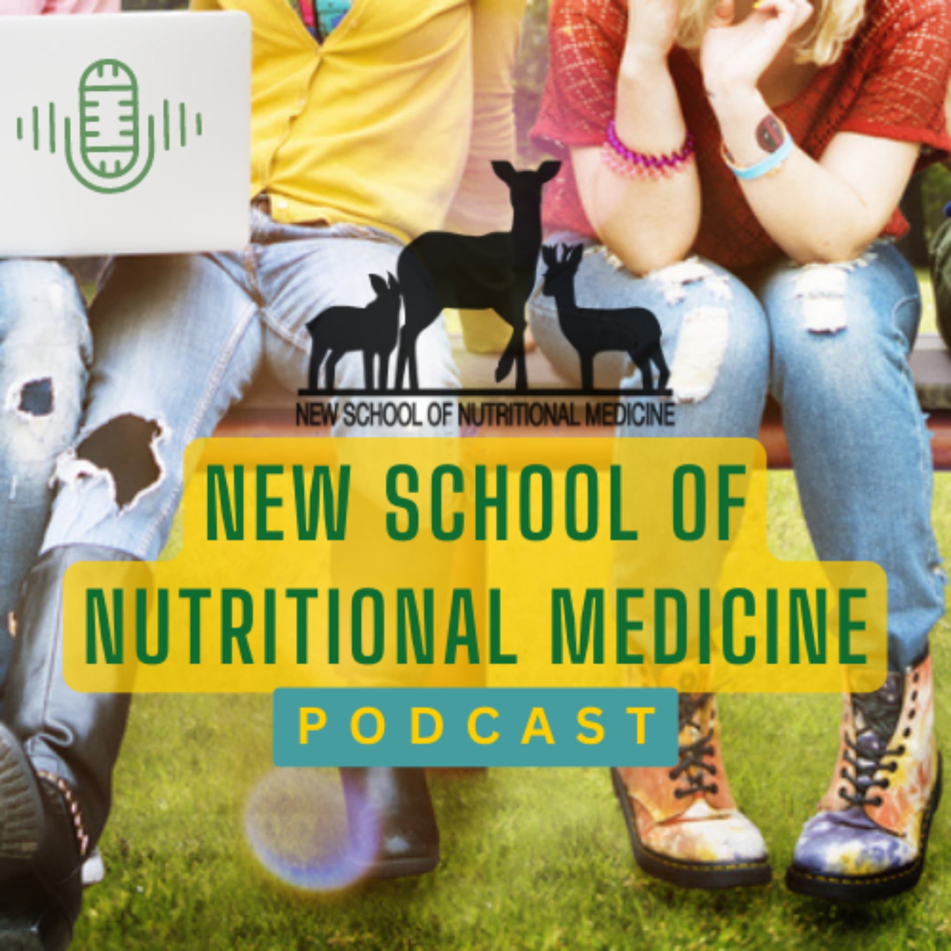 New School of Nutritional Medicine - Podcasts