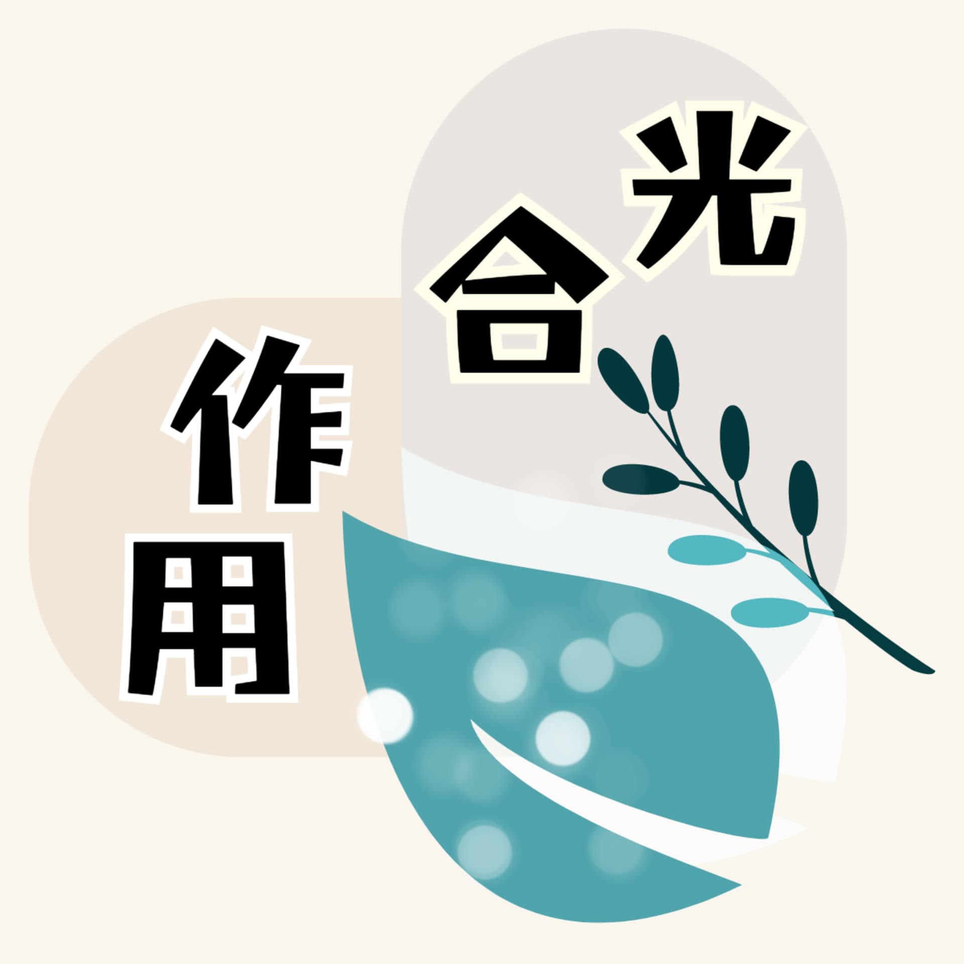 光合作用留学 - Podcasts