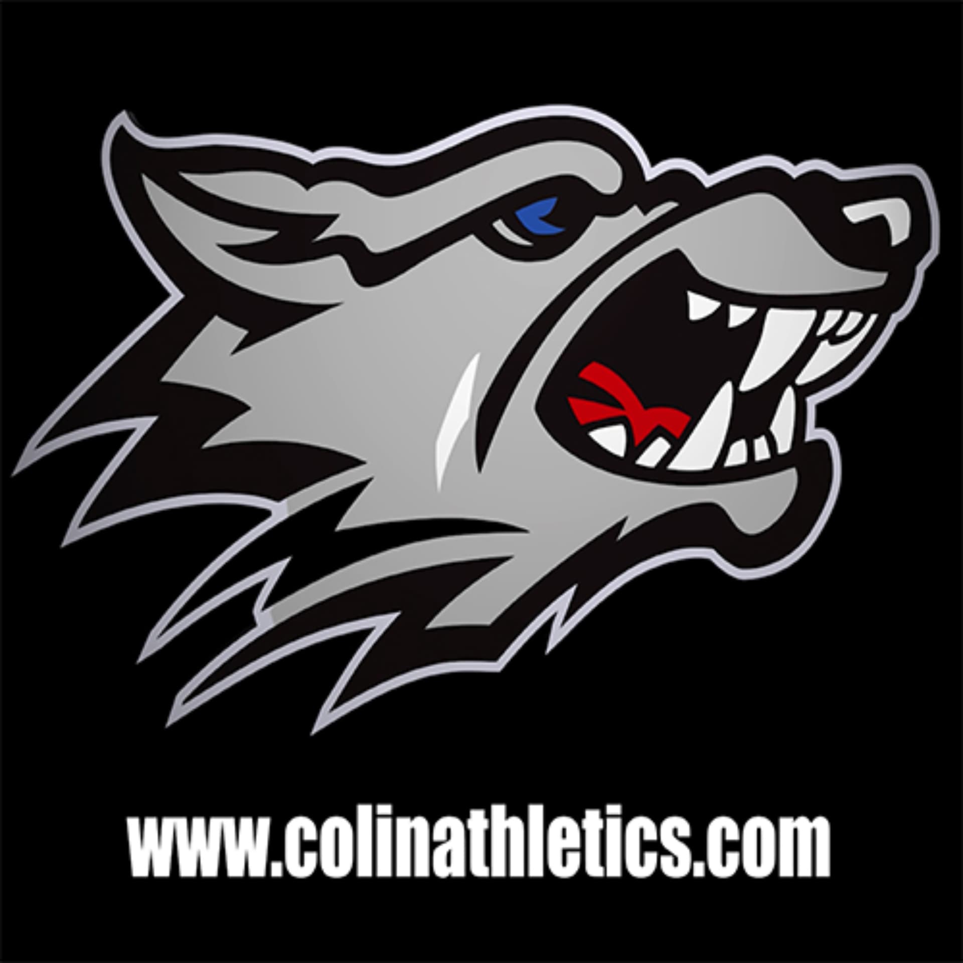 Co-Lin Athletics Coaches Show - Podcasts