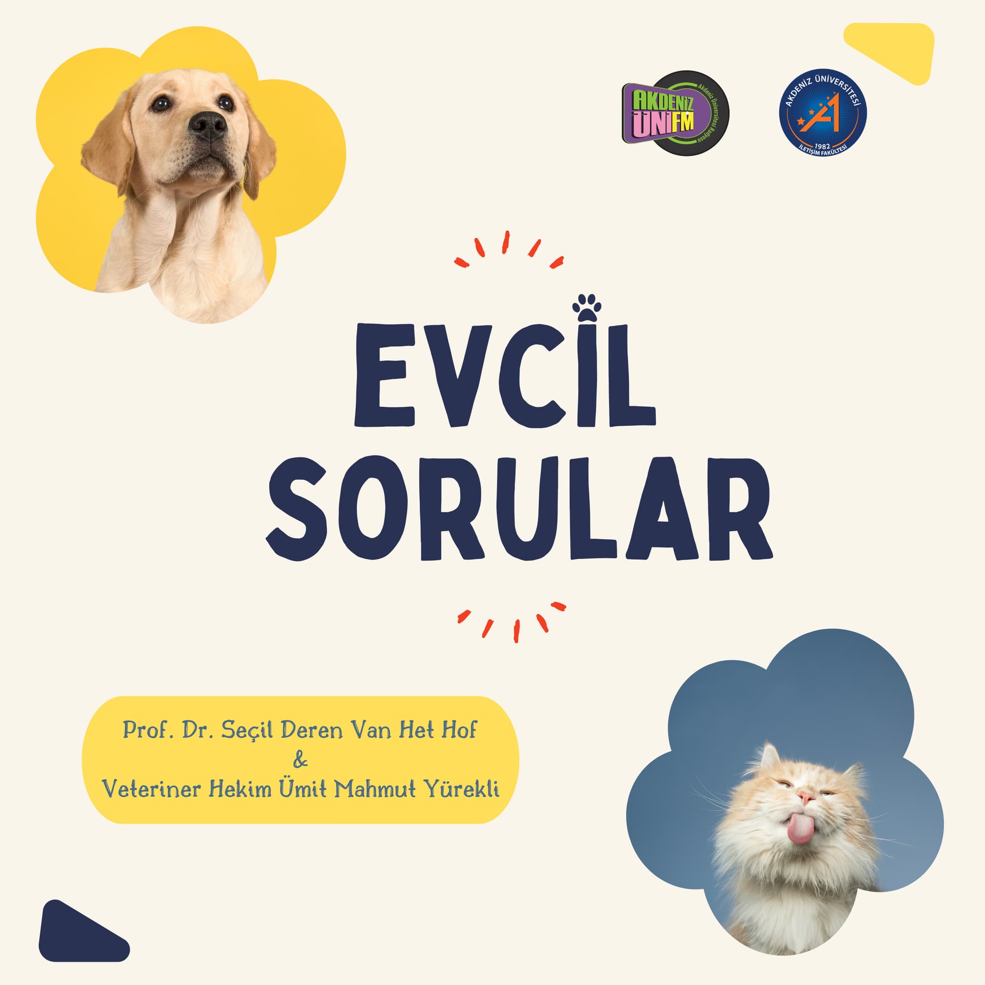 Evcil Sorular - Podcasts