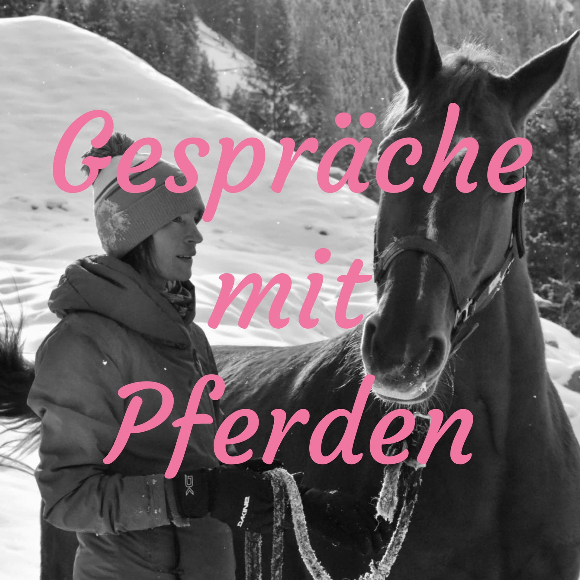 Gespräche mit Pferden - Podcasts