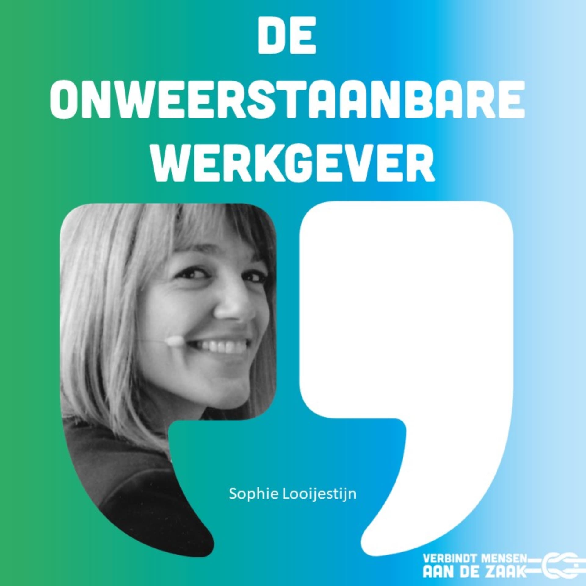 De Onweerstaanbare Werkgever - Podcasts