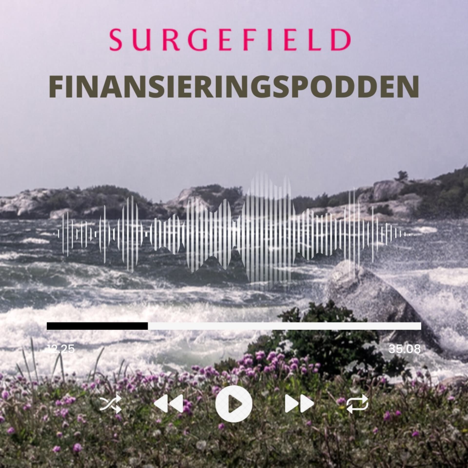 Finansieringspodden - Podcasts