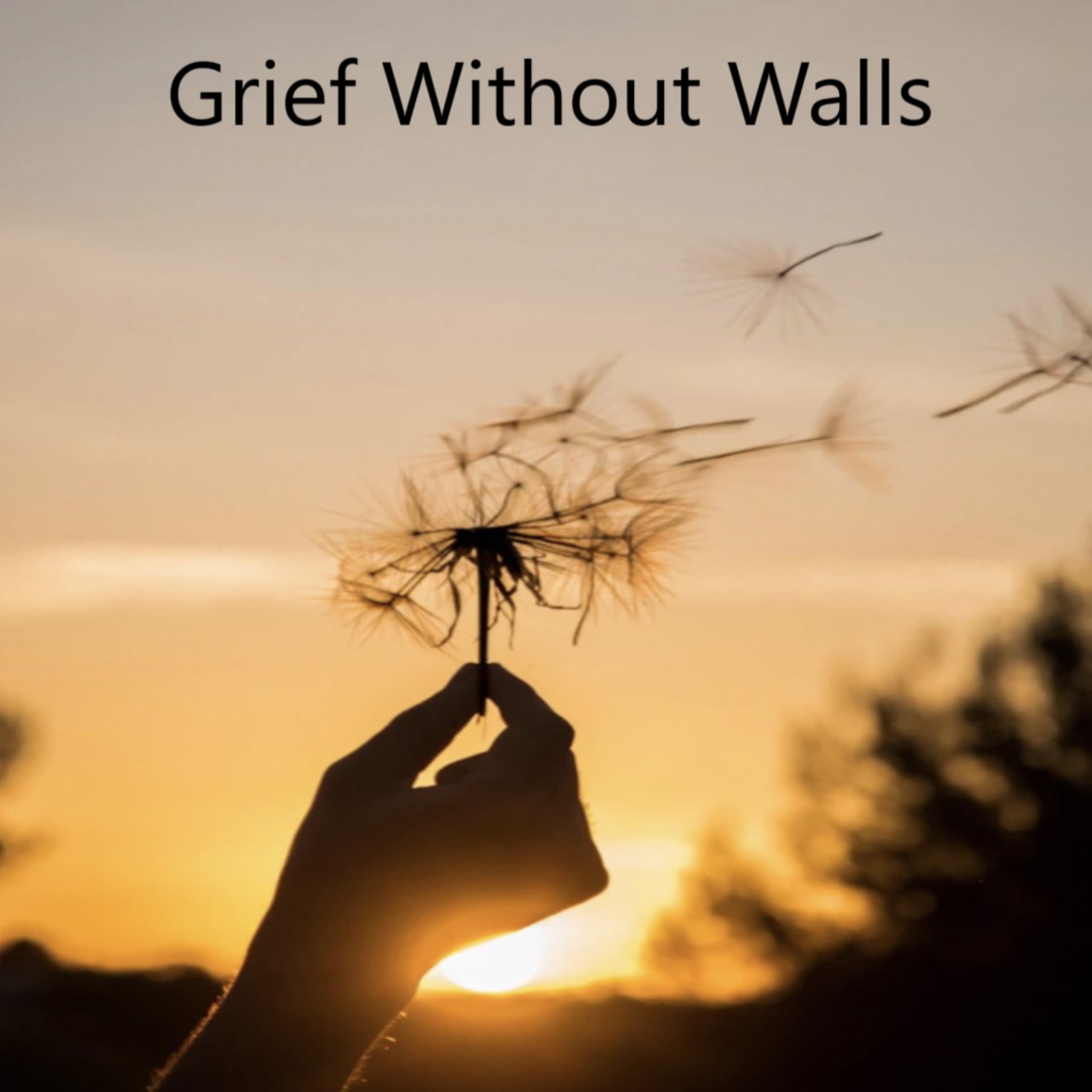 Grief Without Walls. How to find hope in life after the passing of adult sons to suicide. - Podcasts