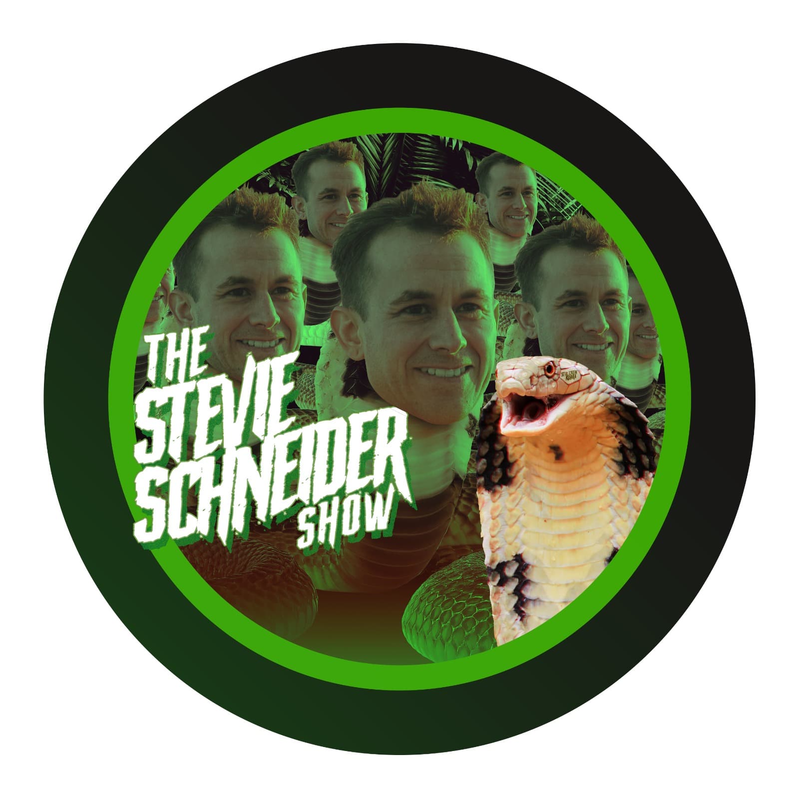The Stevie Schneider Show - Podcasts