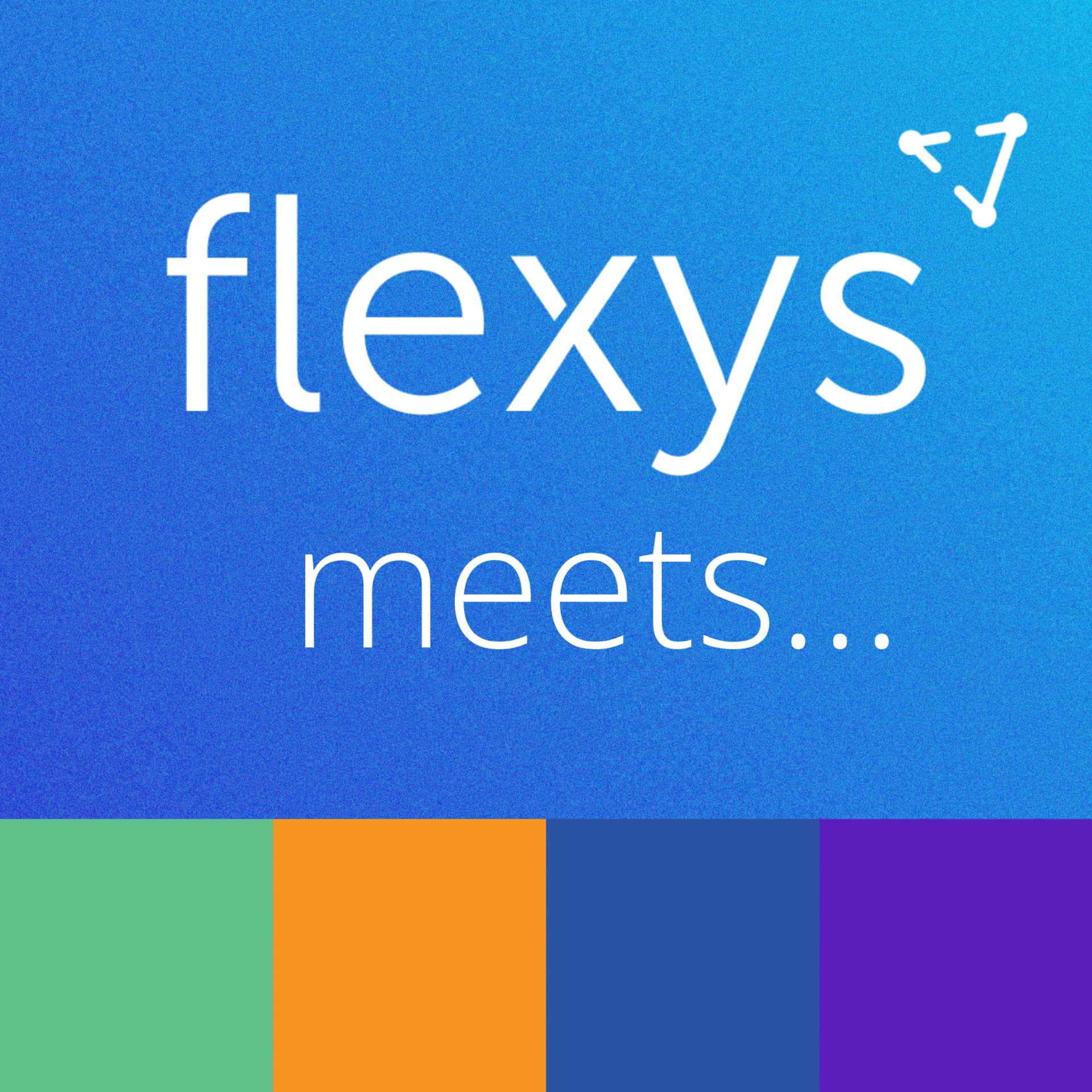 Flexys Meets... - Podcasts