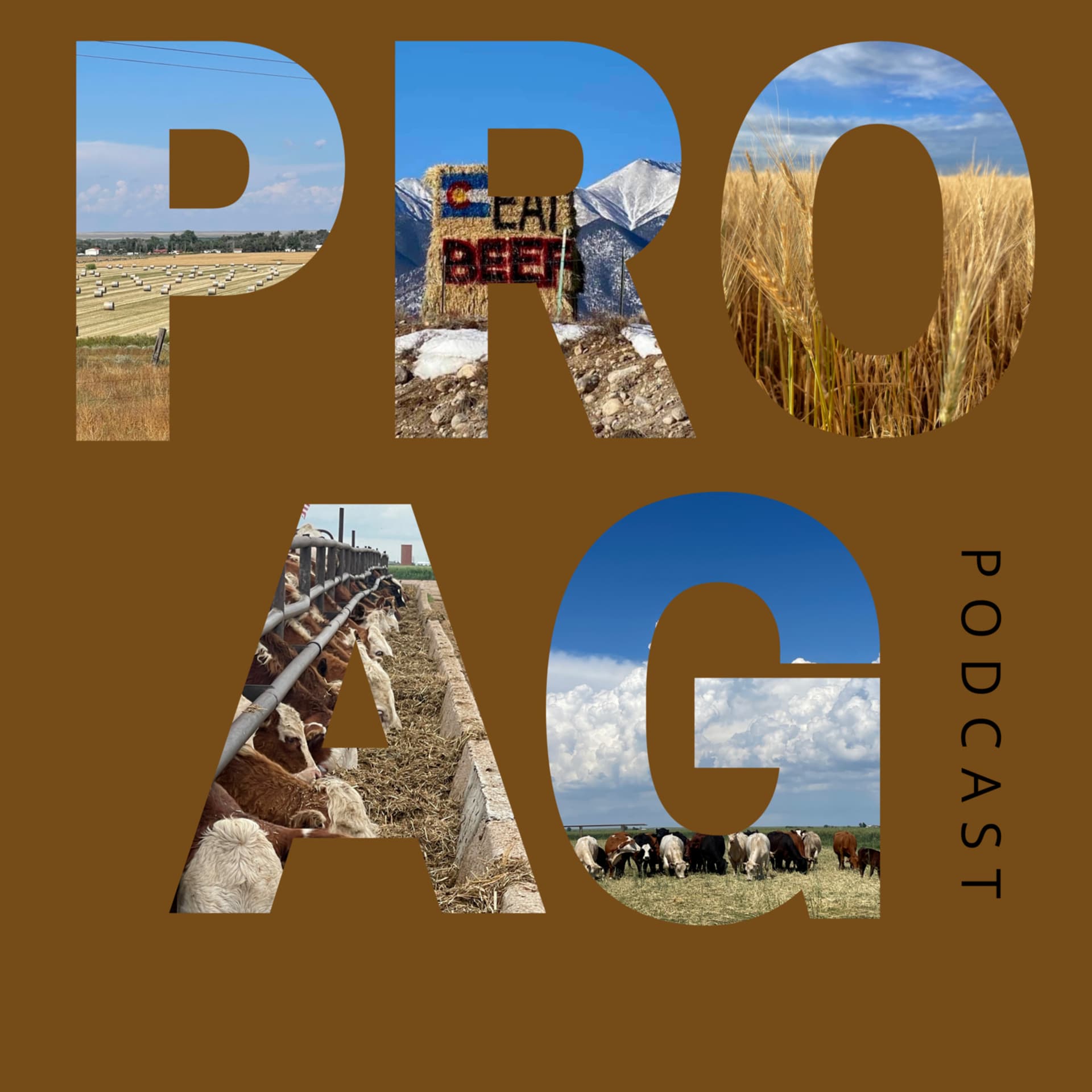 Pro Ag Podcast - Podcasts