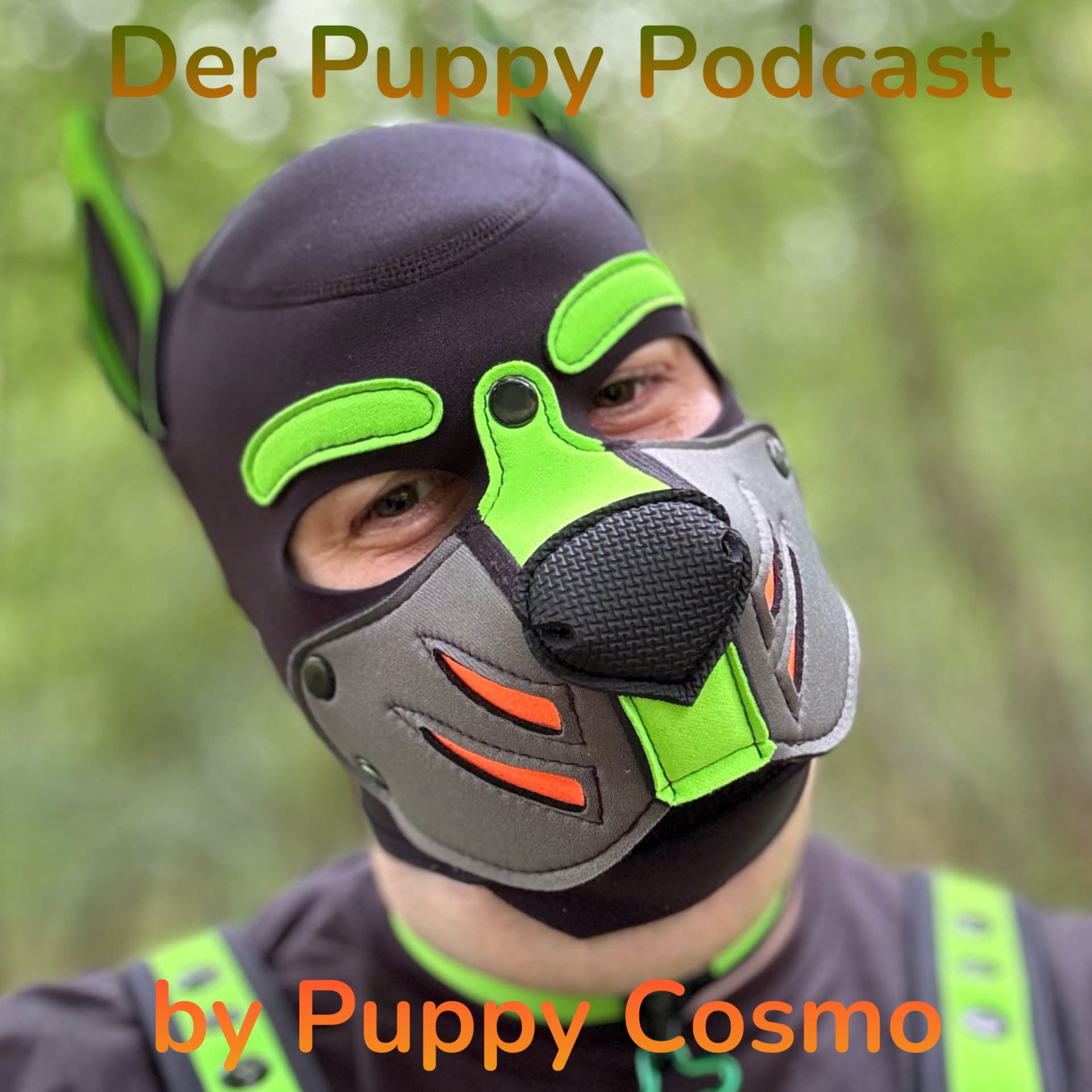 Der Puppy Podcast - Podcasts