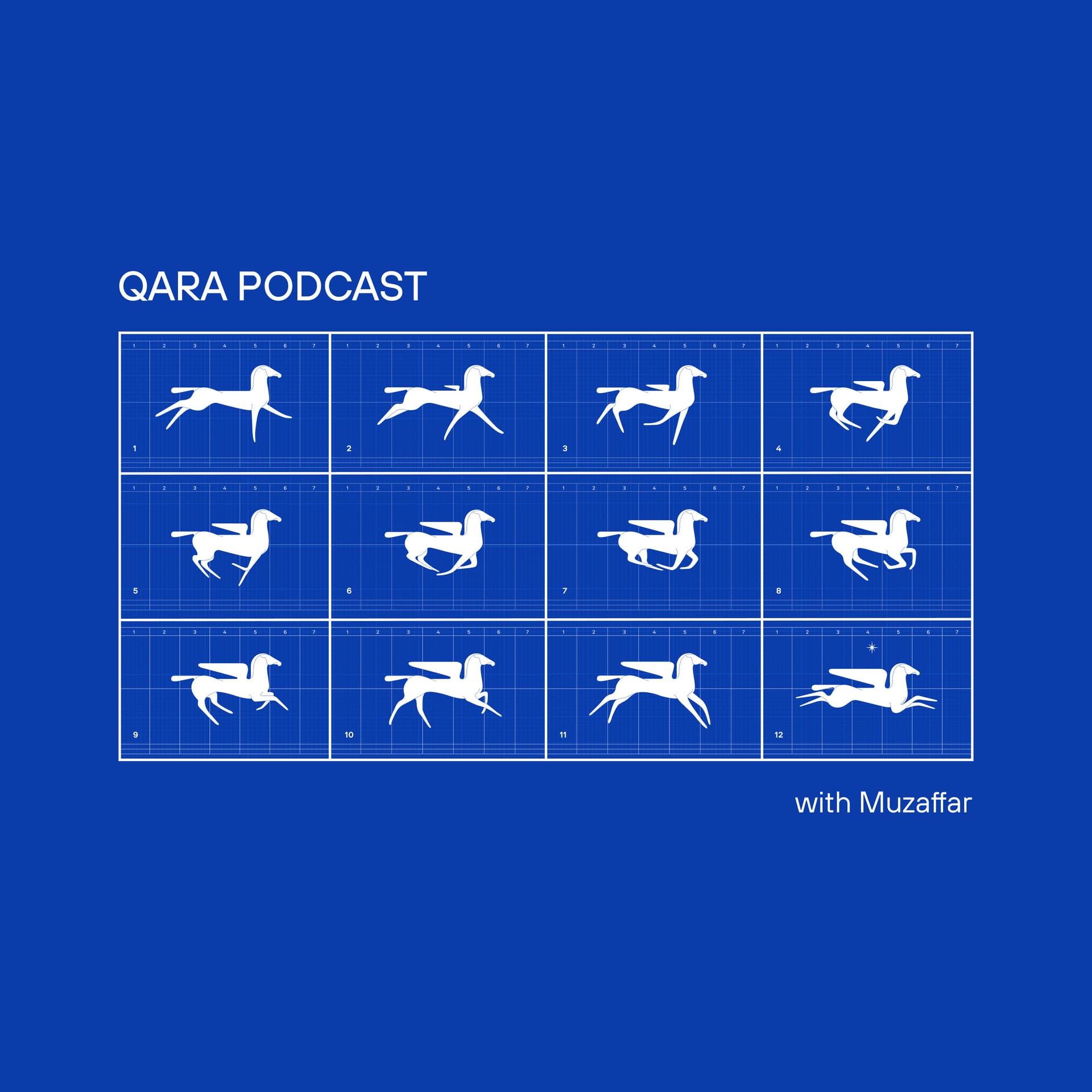 QARA Podcast - Podcasts