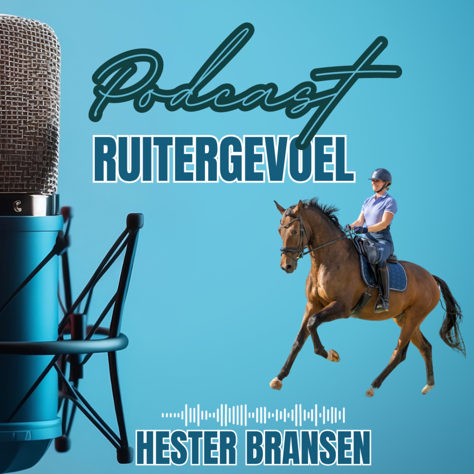 Ruitergevoel - Podcasts