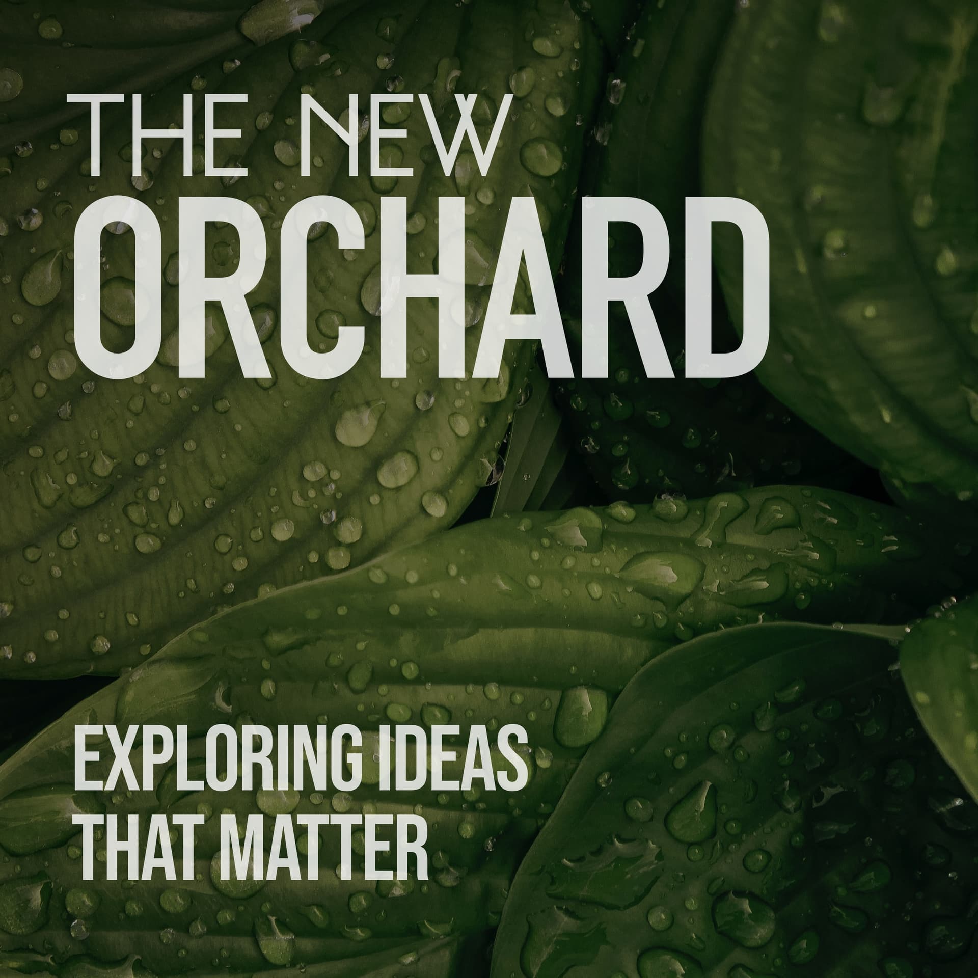 The New Orchard - Podcasts