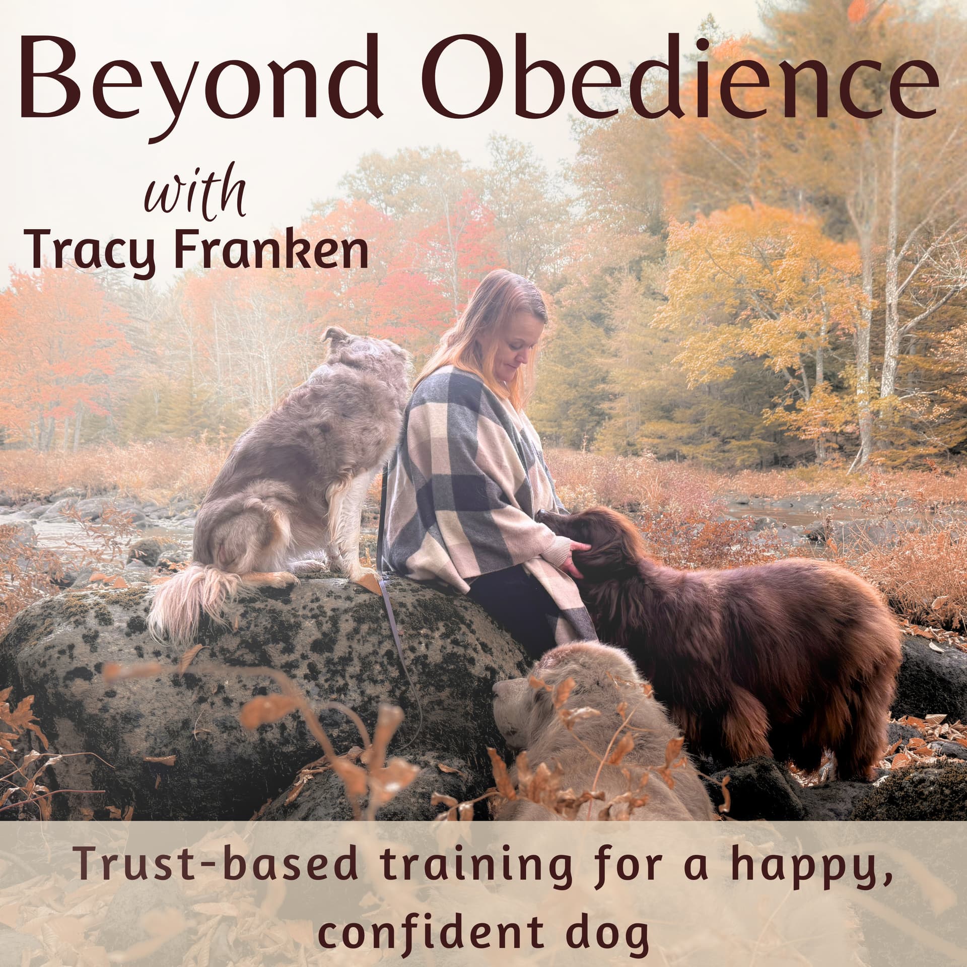 Beyond Obedience | Dog Training, Dog Behaviour Training, Scared Dogs, Reactive Dogs - Podcasts