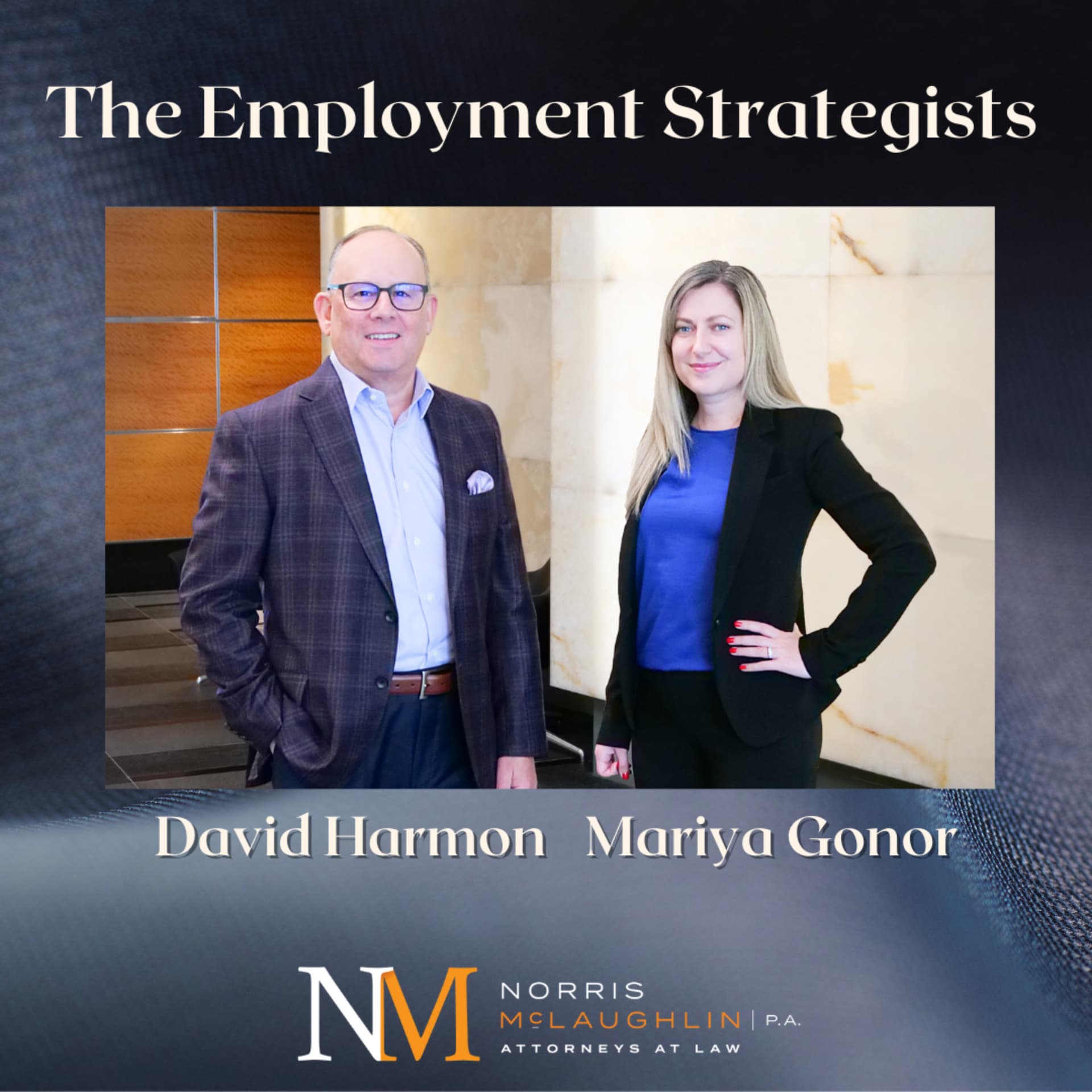 The Employment Strategists