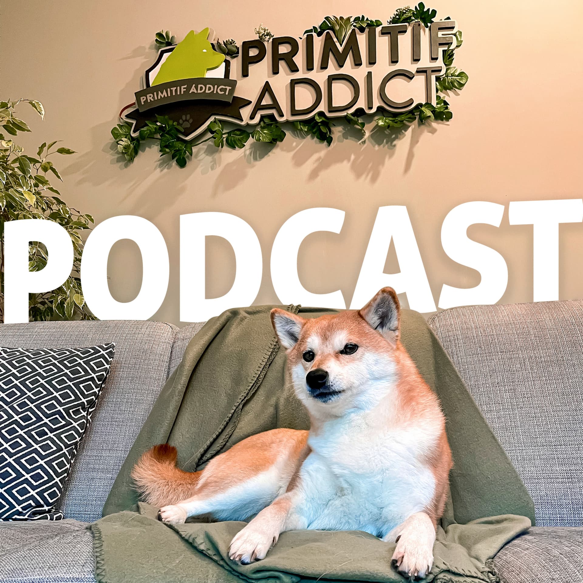 Primitif Addict Le Podcast pour comprendre ton chien - Podcasts