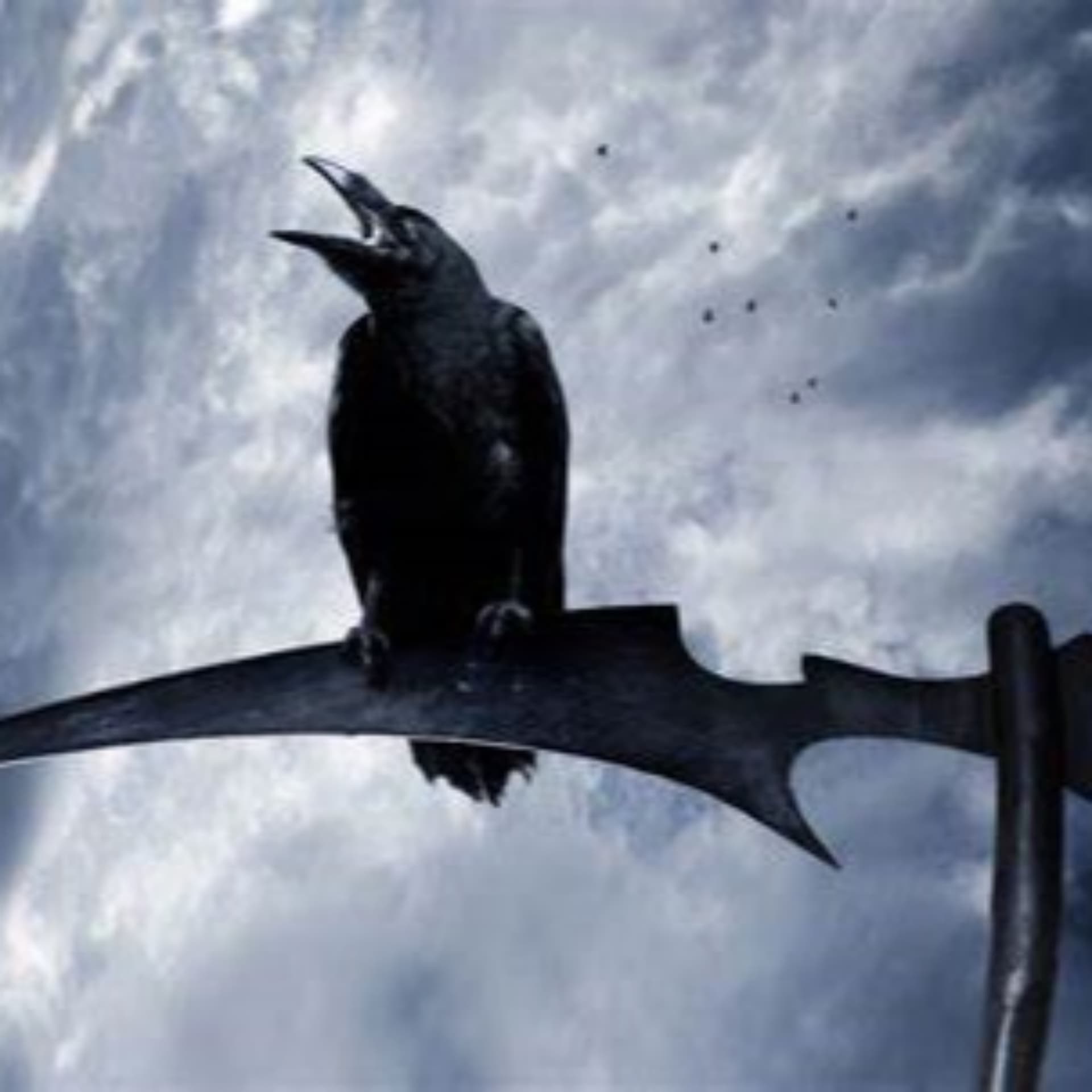Dr Steve's Murder of Crows - Podcasts