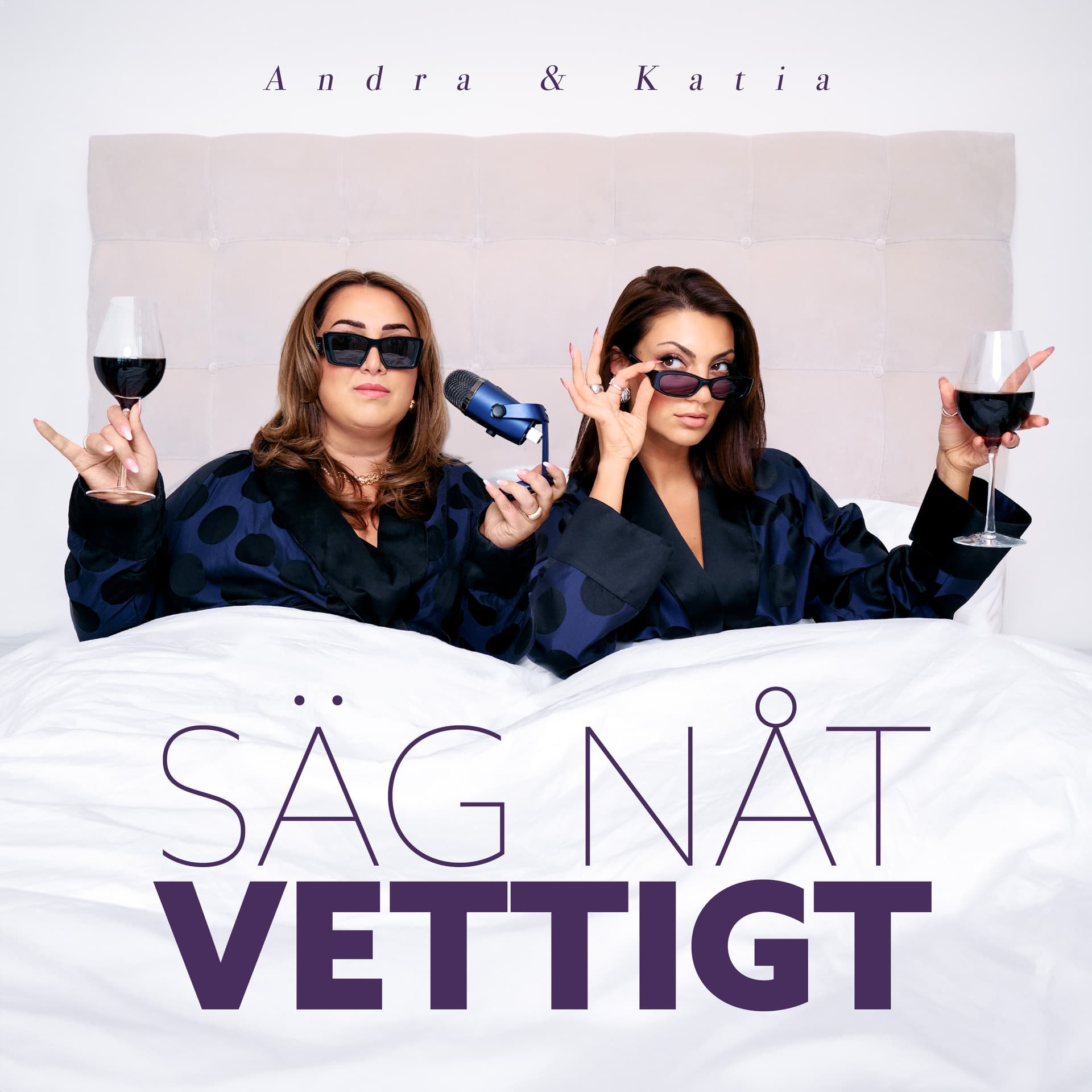 Säg Nåt Vettigt - Podcasts