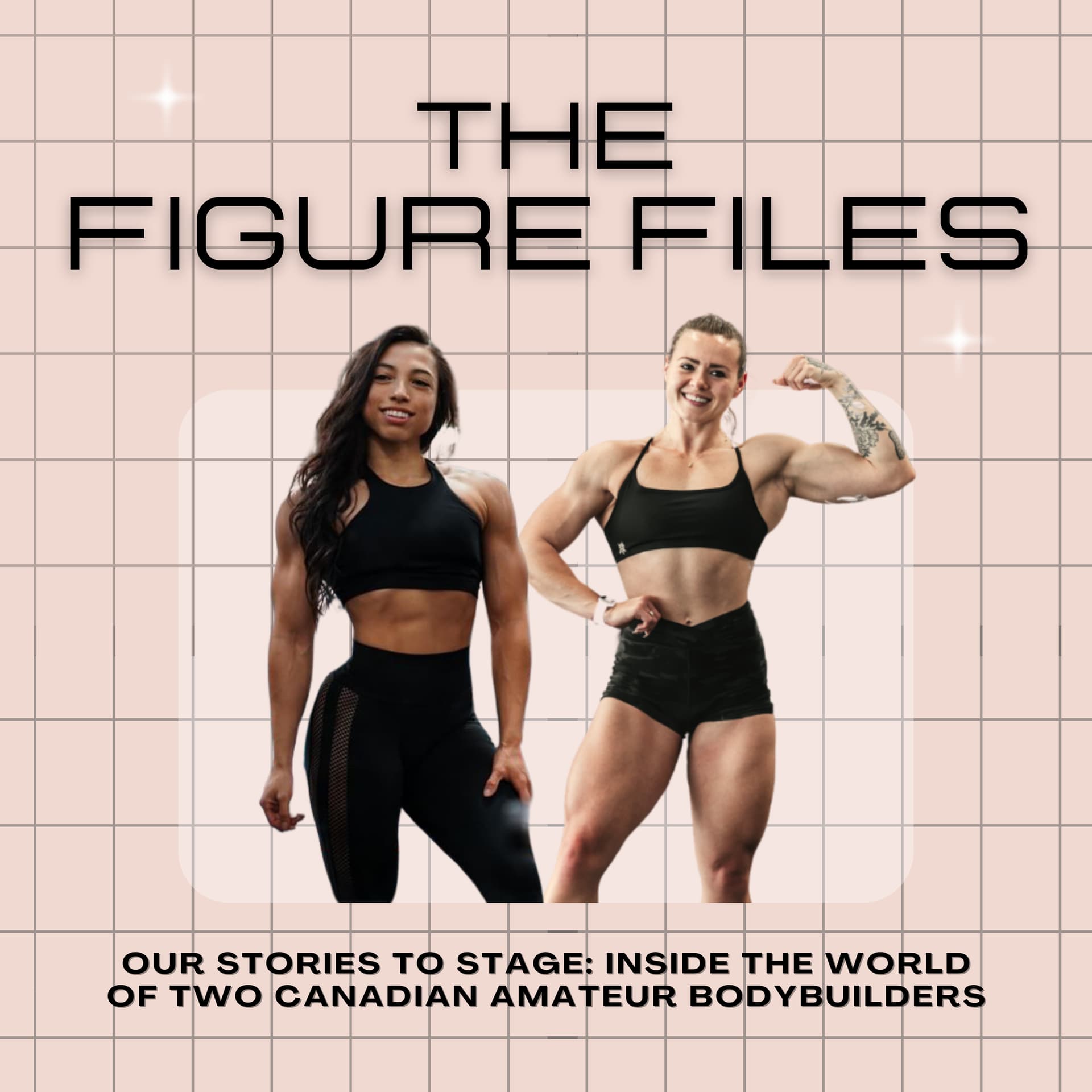 The Figure Files Podcast - Podcasts