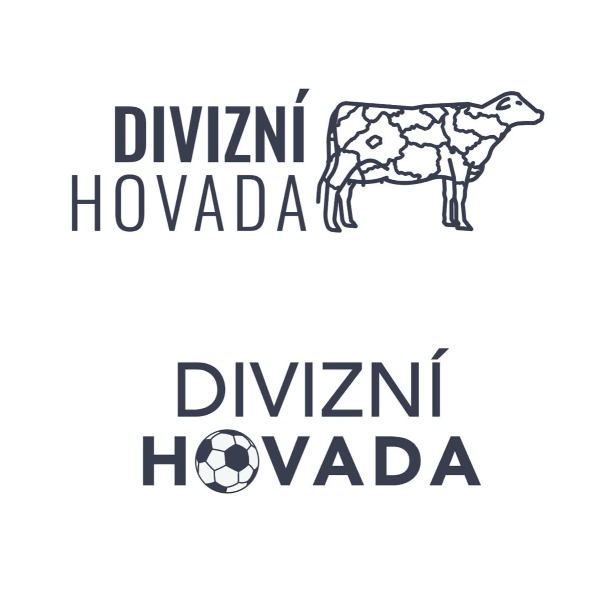 #DIVIZNIHOVADA - Podcasts