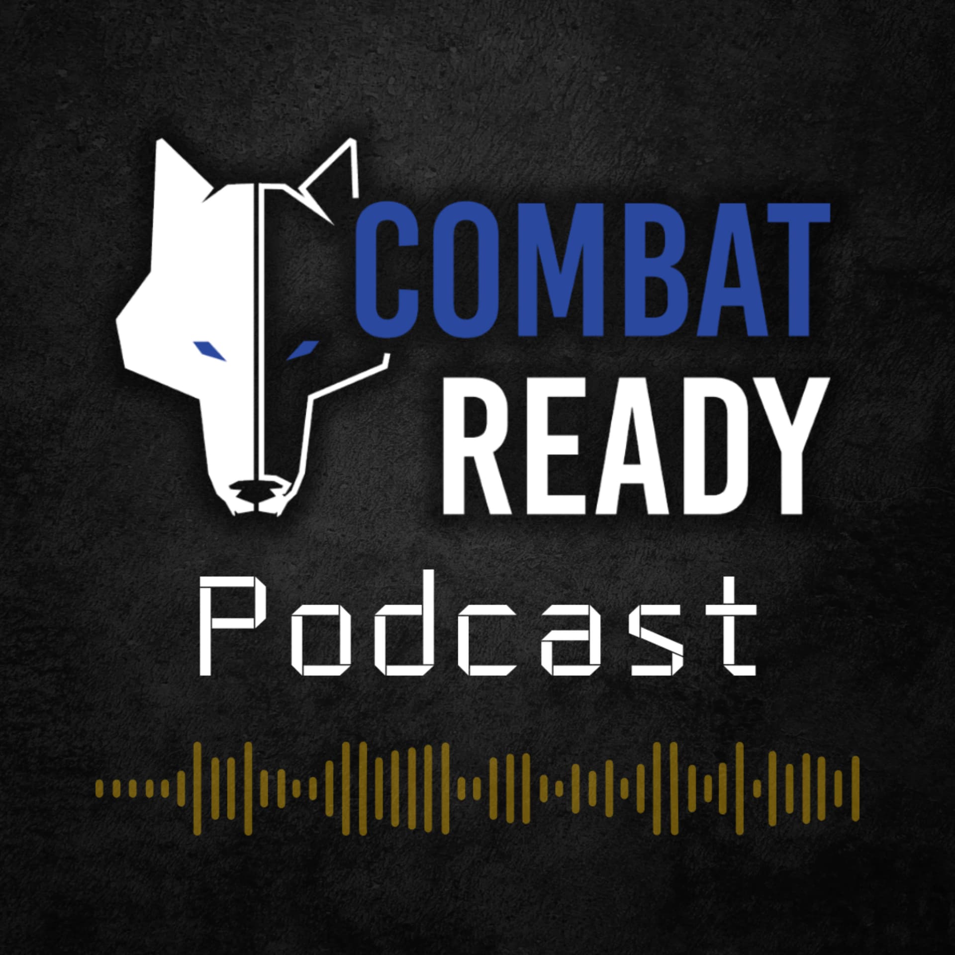 Combat Ready Podcast - Podcasts