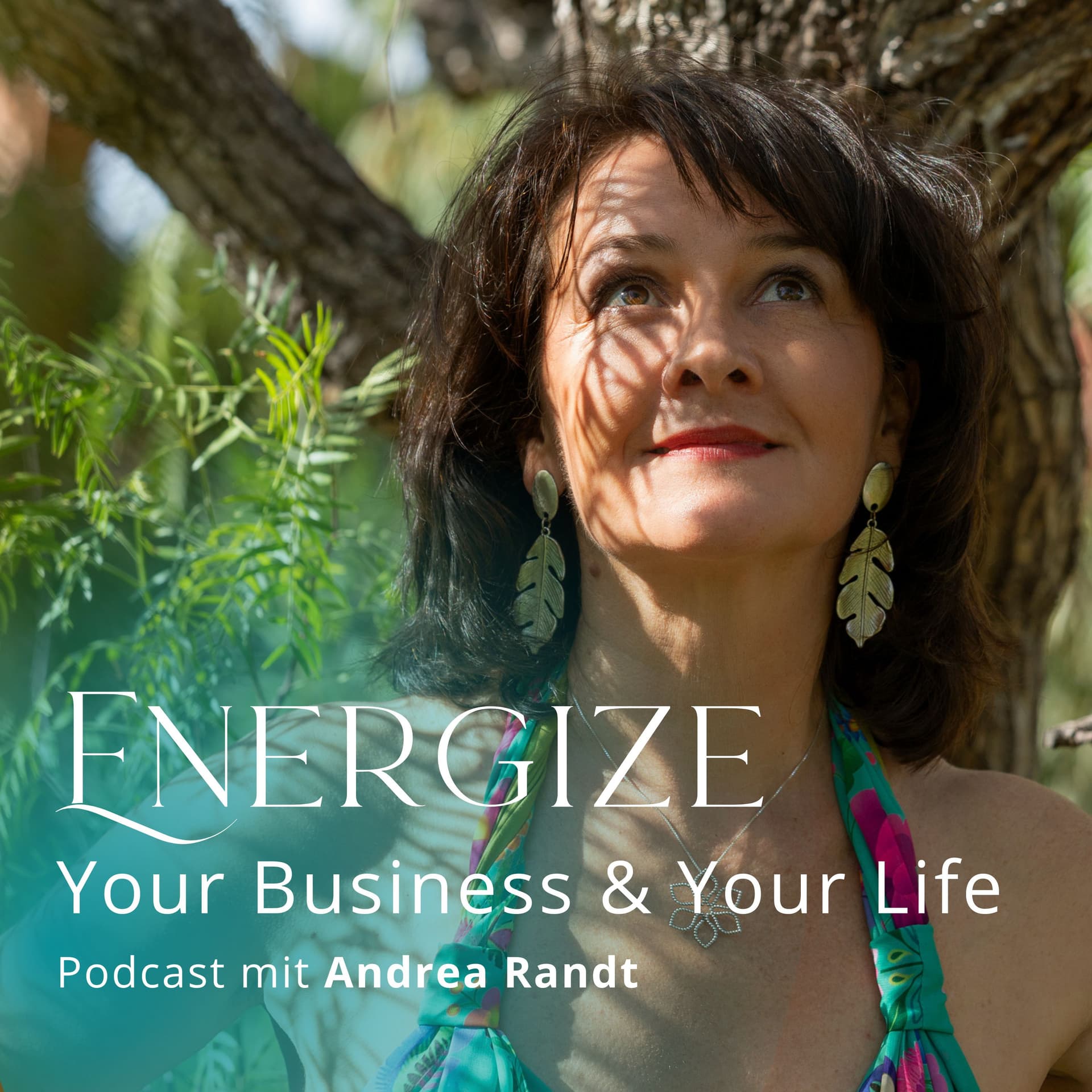 Energize your Business & your Life - Podcasts