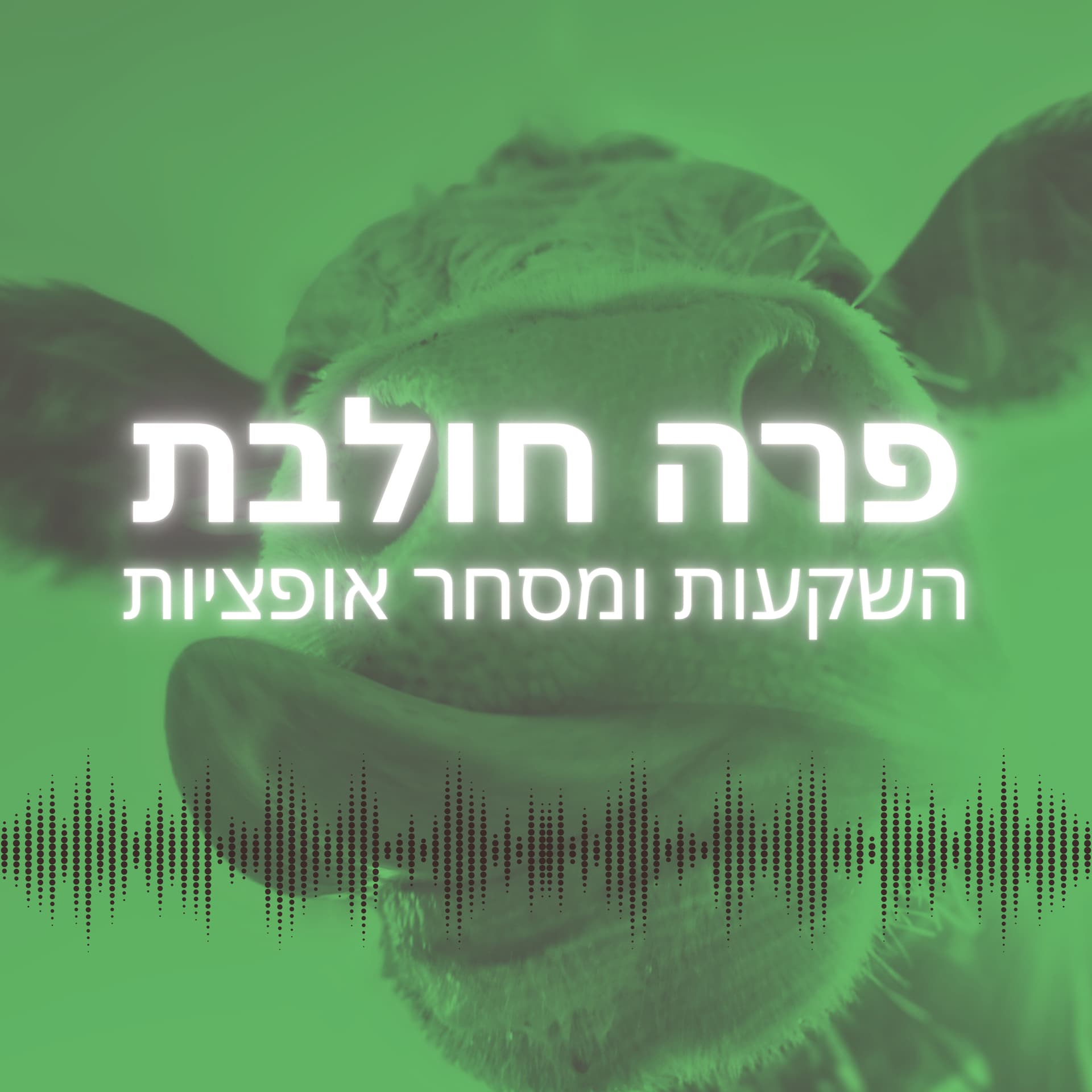 פרה חולבת - פודקאסט על השקעות ומסחר אופציות - Podcasts