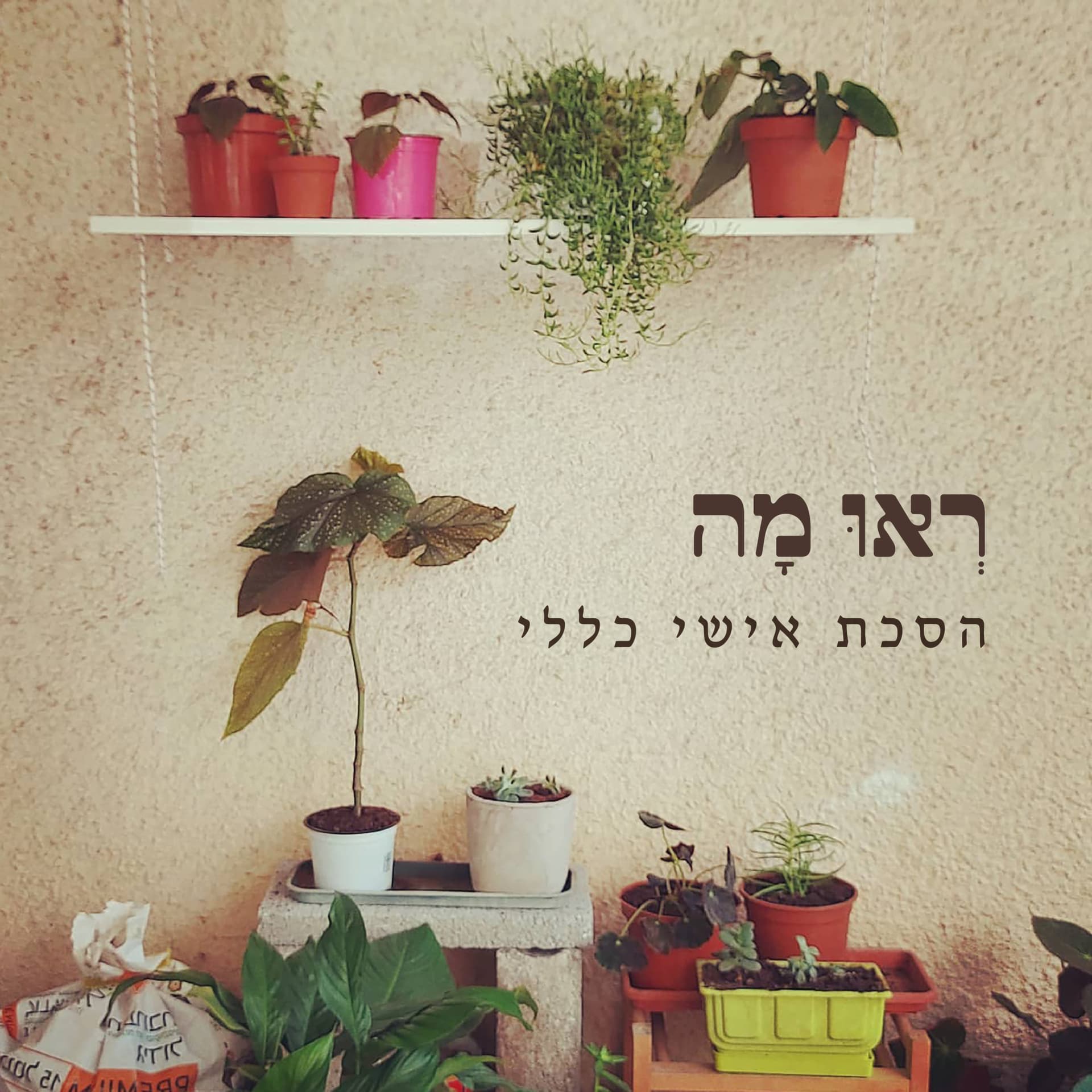 ראו מה - הסכת אישי כללי - Podcasts