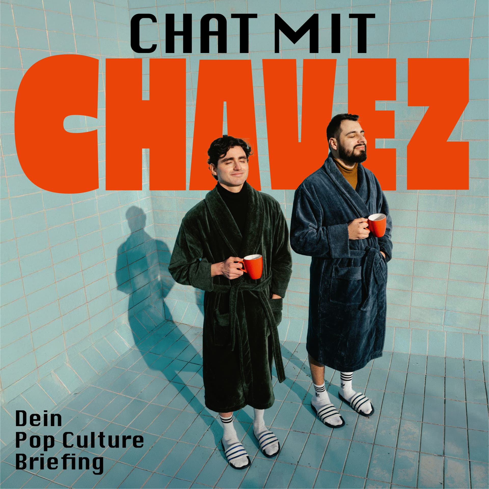 Chat mit Chavez - Podcasts